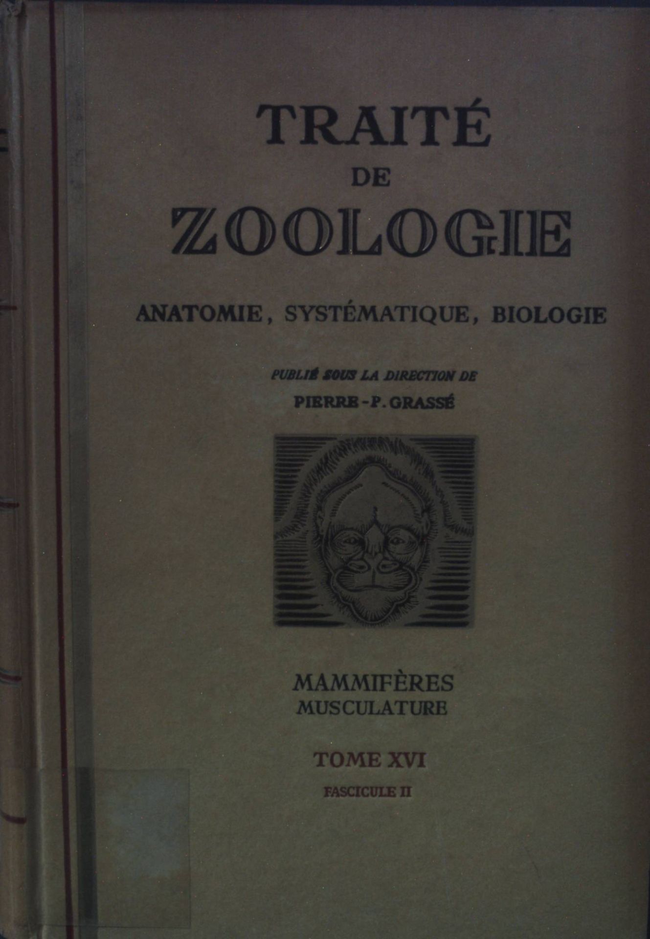 Traite de Zoologie: Anatomie, Systematique, Biologie: TOME XVI, Fascicule II: Mammifères- Musculature
