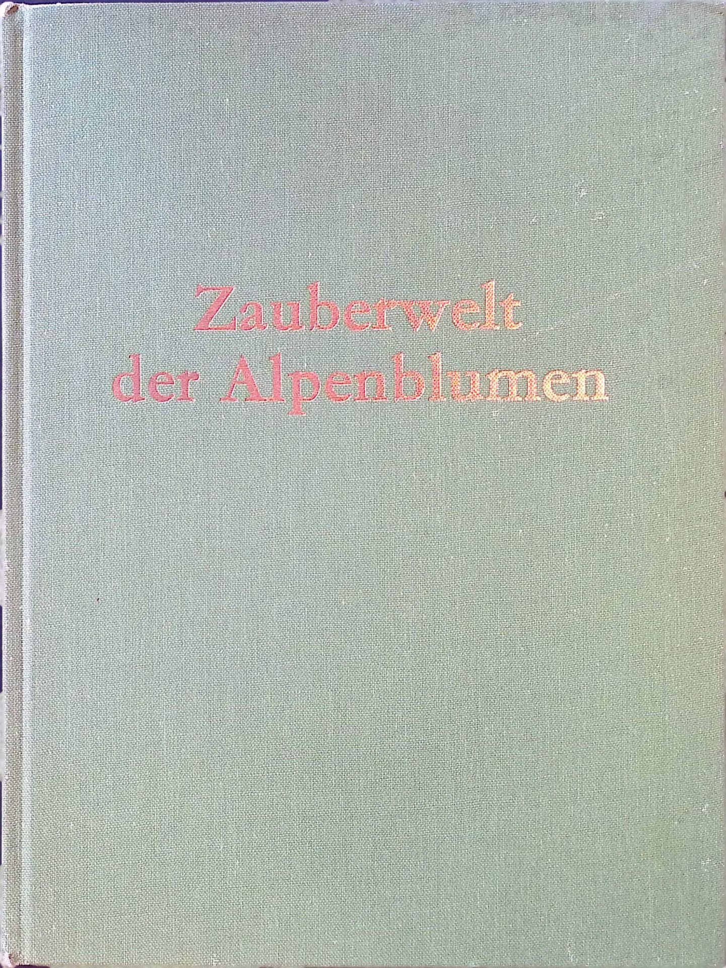 Zauberwelt der Alpenblumen