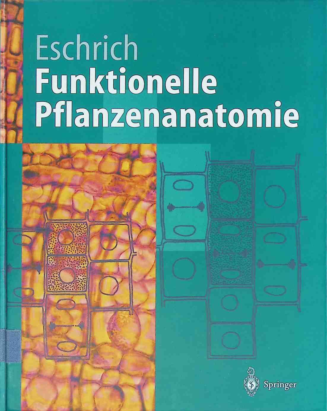 Funktionelle Pflanzenanatomie