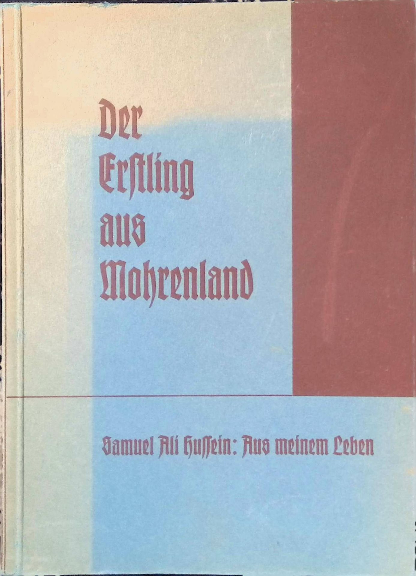Der Erstling aus Mohrenland : Aus meinem Leben