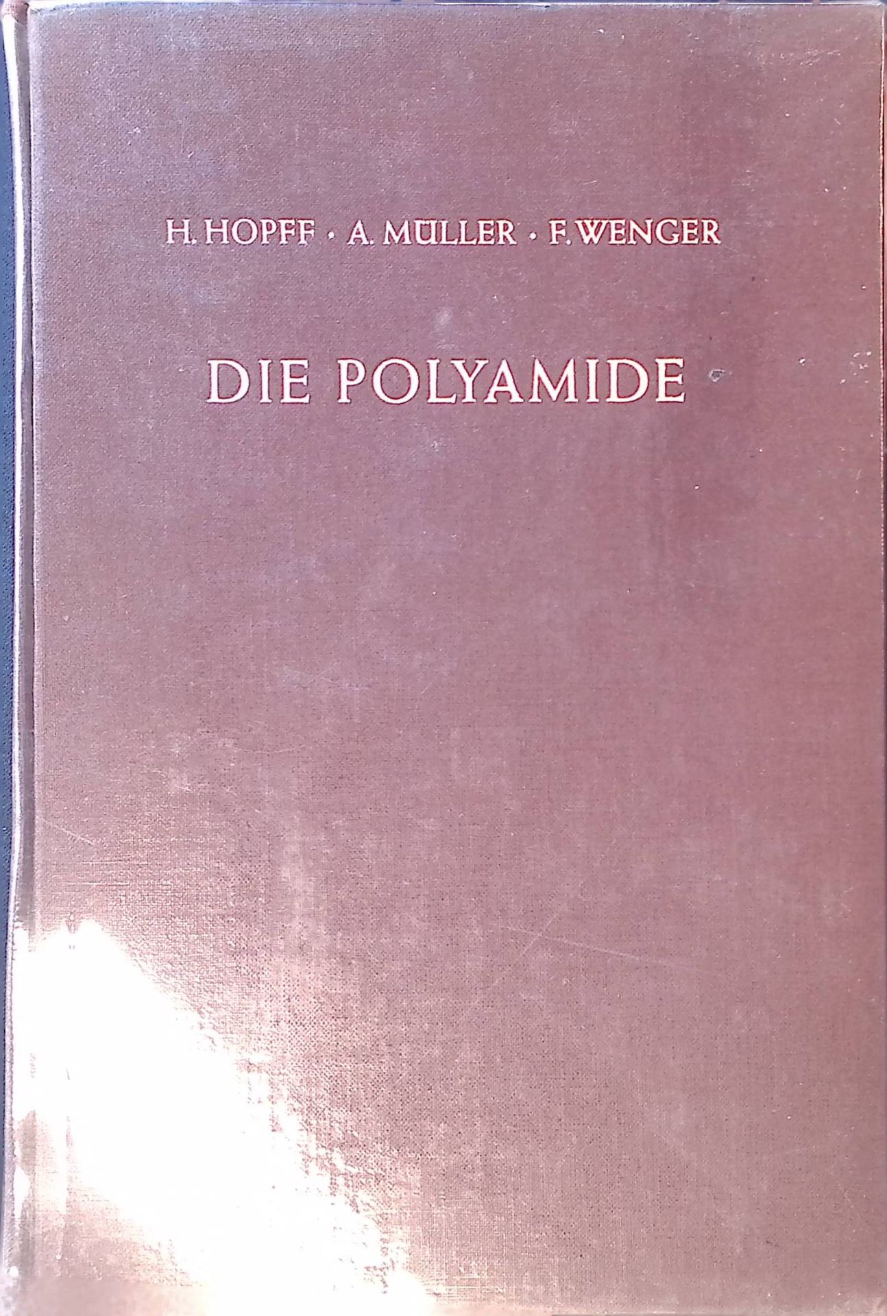 Die Polyamide