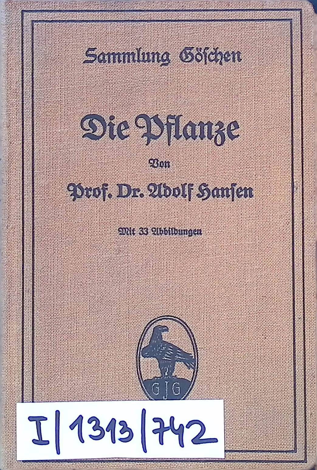 Die Pflanze
