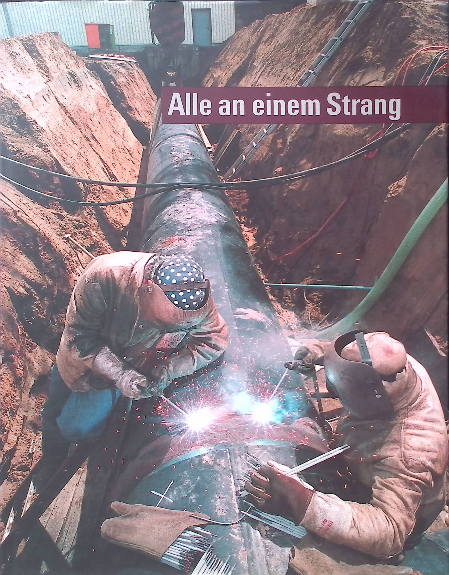 Alle an einem Strang : Umstellung der Gasversorgung von Stadtgas auf Erdgas in den Bundesländern Brandenburg, Mecklenburg-Vorpommern, Sachsen, Sachsen-Anhalt, Thüringen von 1990 bis 1995