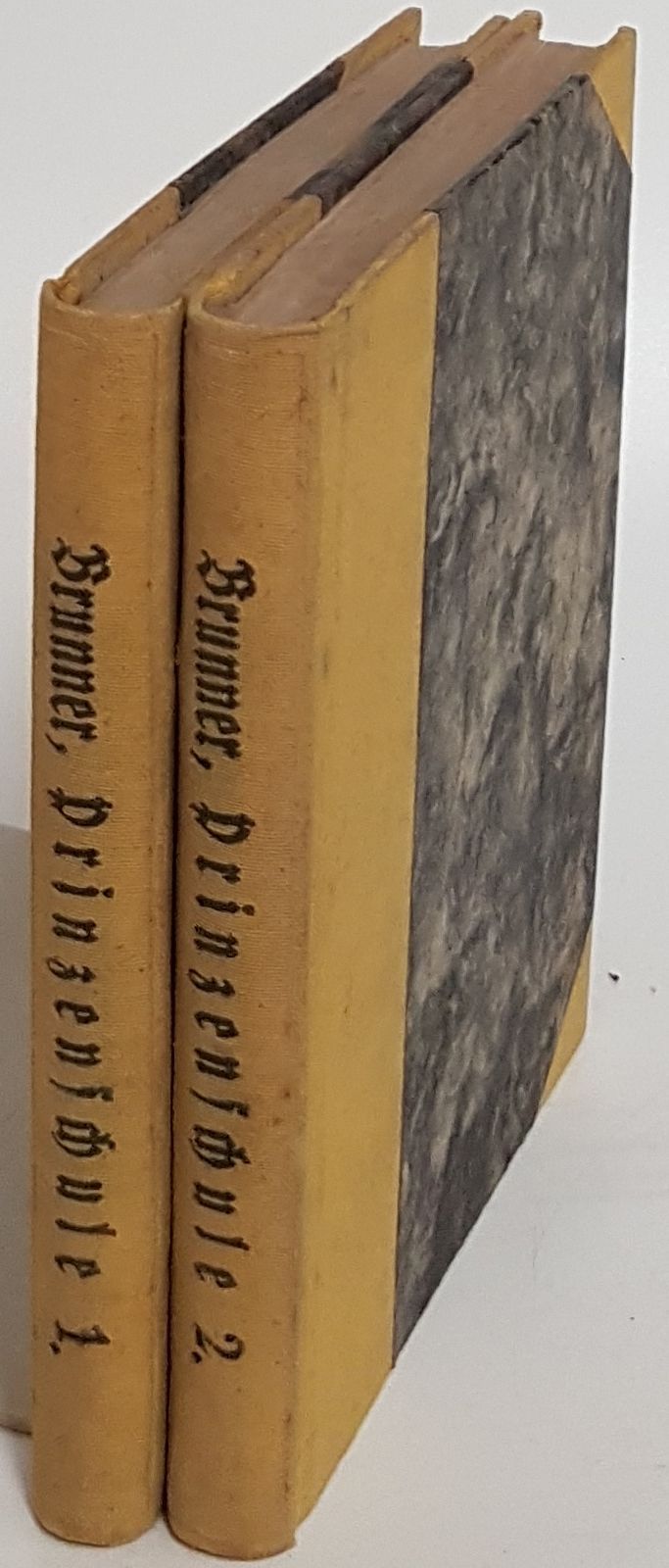 Die Prinzenschule zu Möpselglück: Schildereien aus der jungen Welt (2 Theile KOMPLETT)