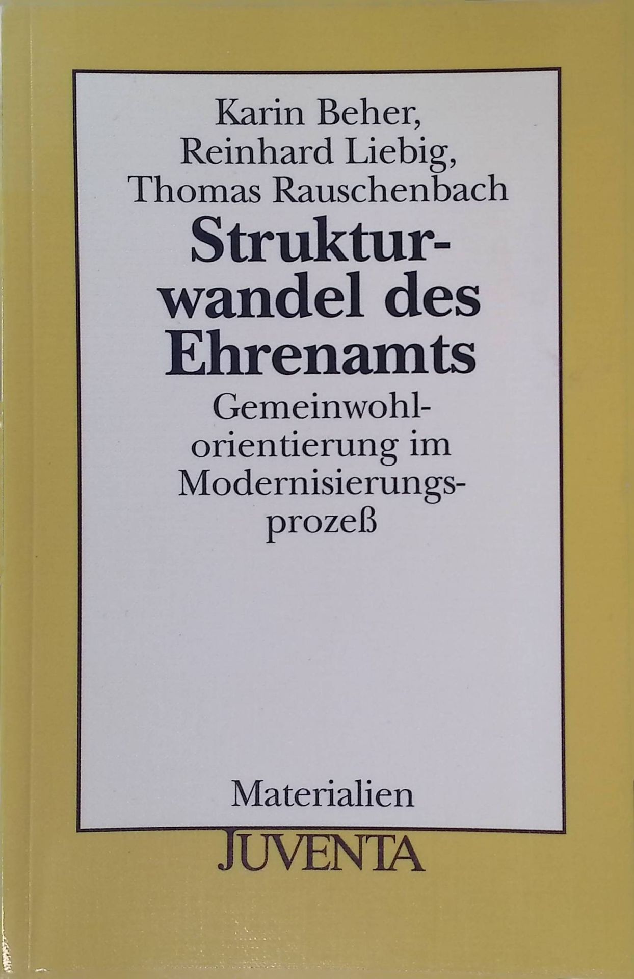 Strukturwandel des Ehrenamts : Gemeinwohlorientierung im Modernisierungsprozeß