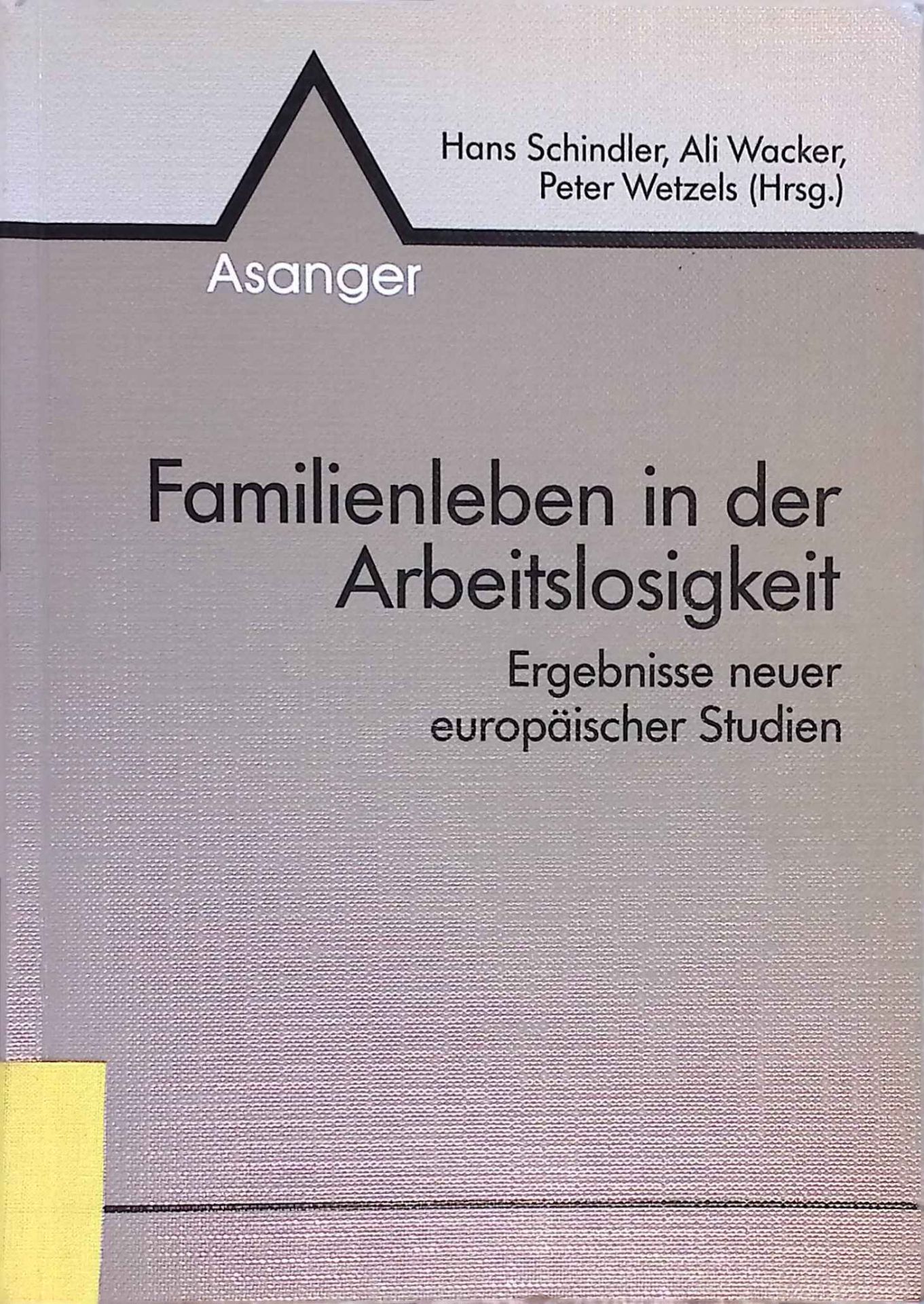 Familienleben in der Arbeitslosigkeit : Ergebnisse neuerer europäischer Studien