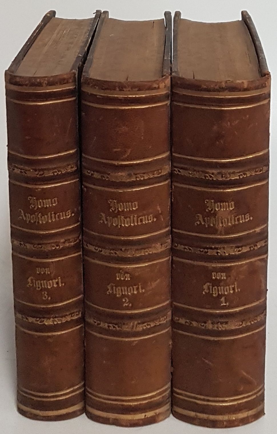 Des heiligen Alphons M. v. Liguori praktische Unterweisungen für Beichtväter Oder: Homo apostolicus in deutscher Übersetzung (3 Bände KOMPLETT)