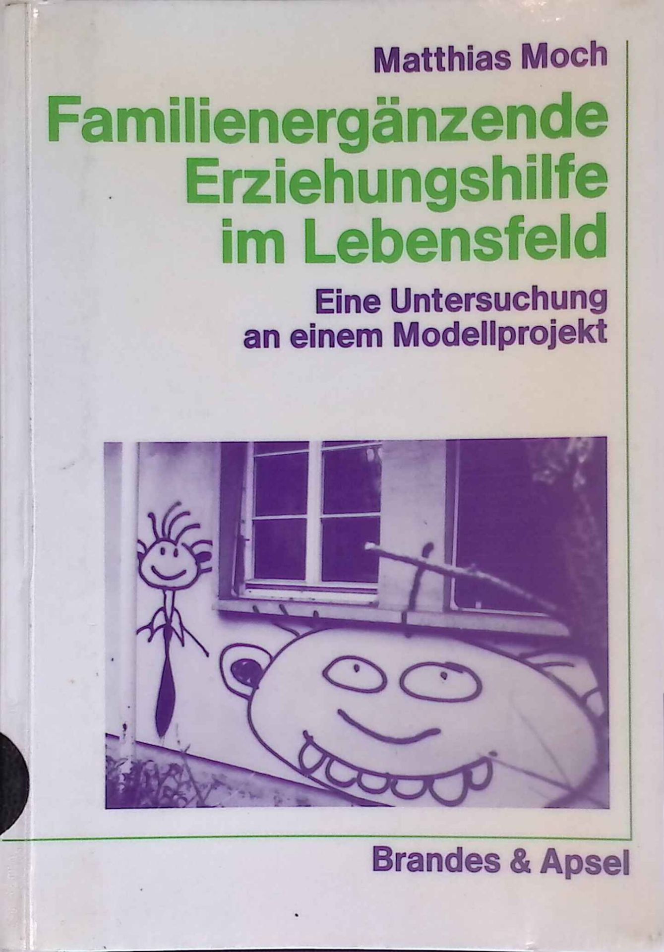 Familienergänzende Erziehungshilfe im Lebensfeld : eine Untersuchung an einem Modellprojekt