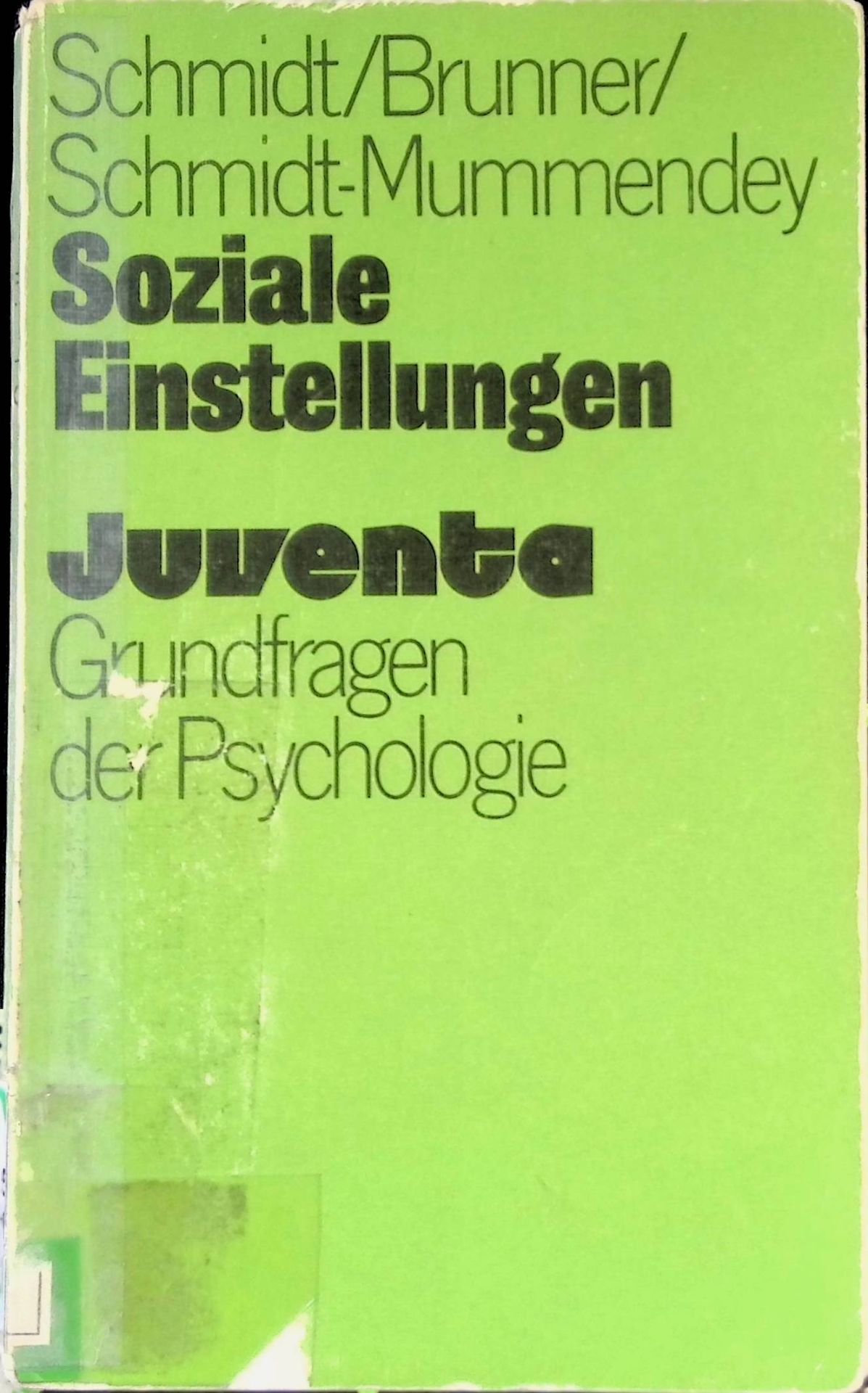 Soziale Einstellungen