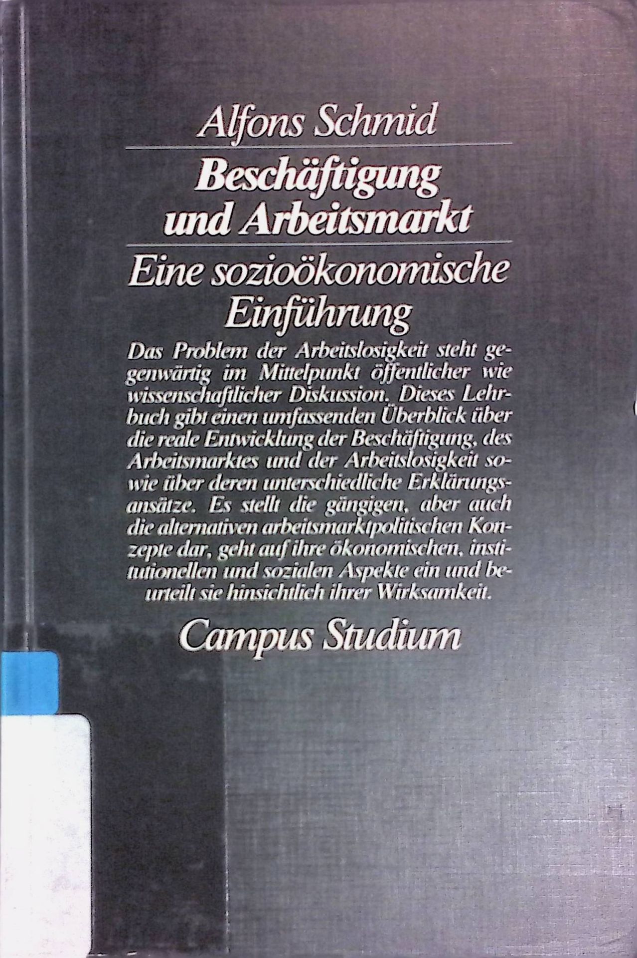 Beschäftigung und Arbeitsmarkt. Eine sozioökonom. Einf