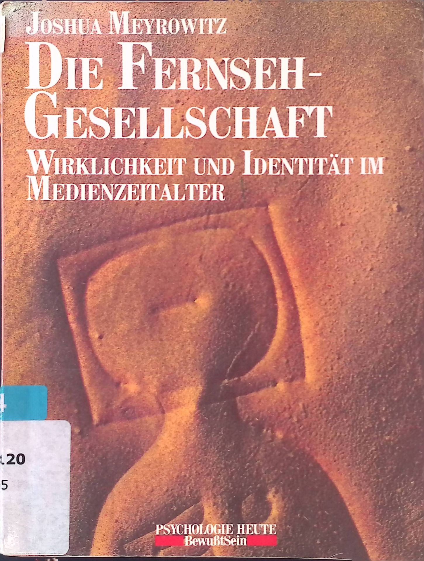 Die Fernseh-Gesellschaft : Wirklichkeit u. Identität im Medienzeitalter