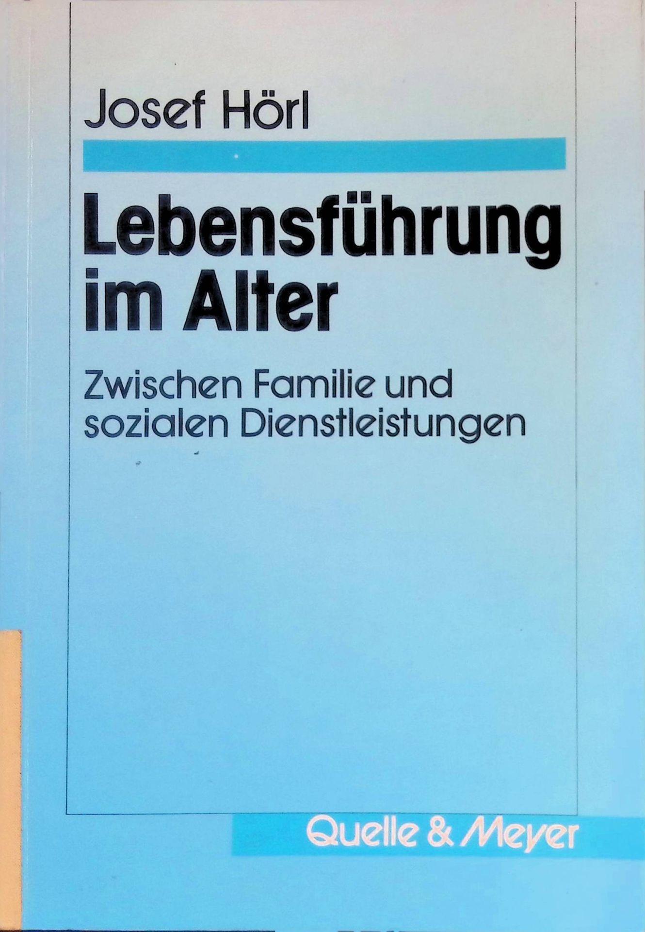 Lebensführung im Alter : zwischen Familie und sozialen Dienstleistungen