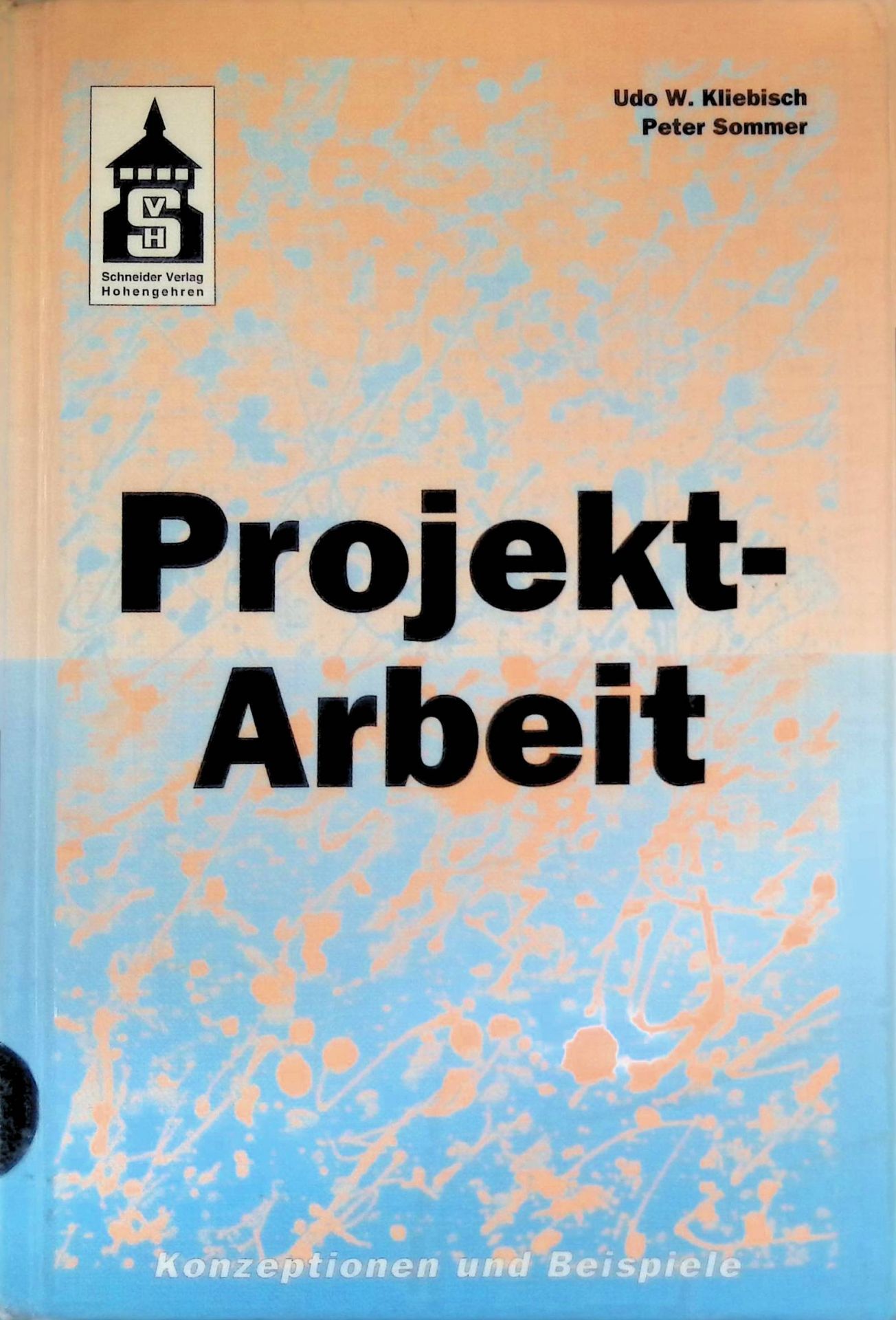 Projekt-Arbeit : Konzeption und Beispiele