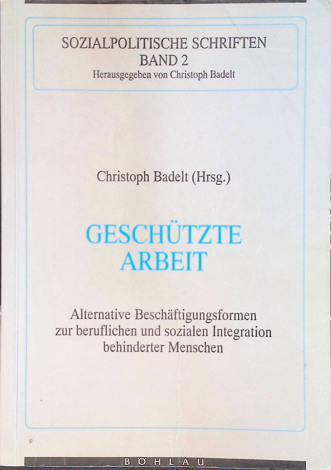 Geschützte Arbeit. Alternative Beschäftigungsformen zur beruflichen und sozialen Integration behinderter Menschen