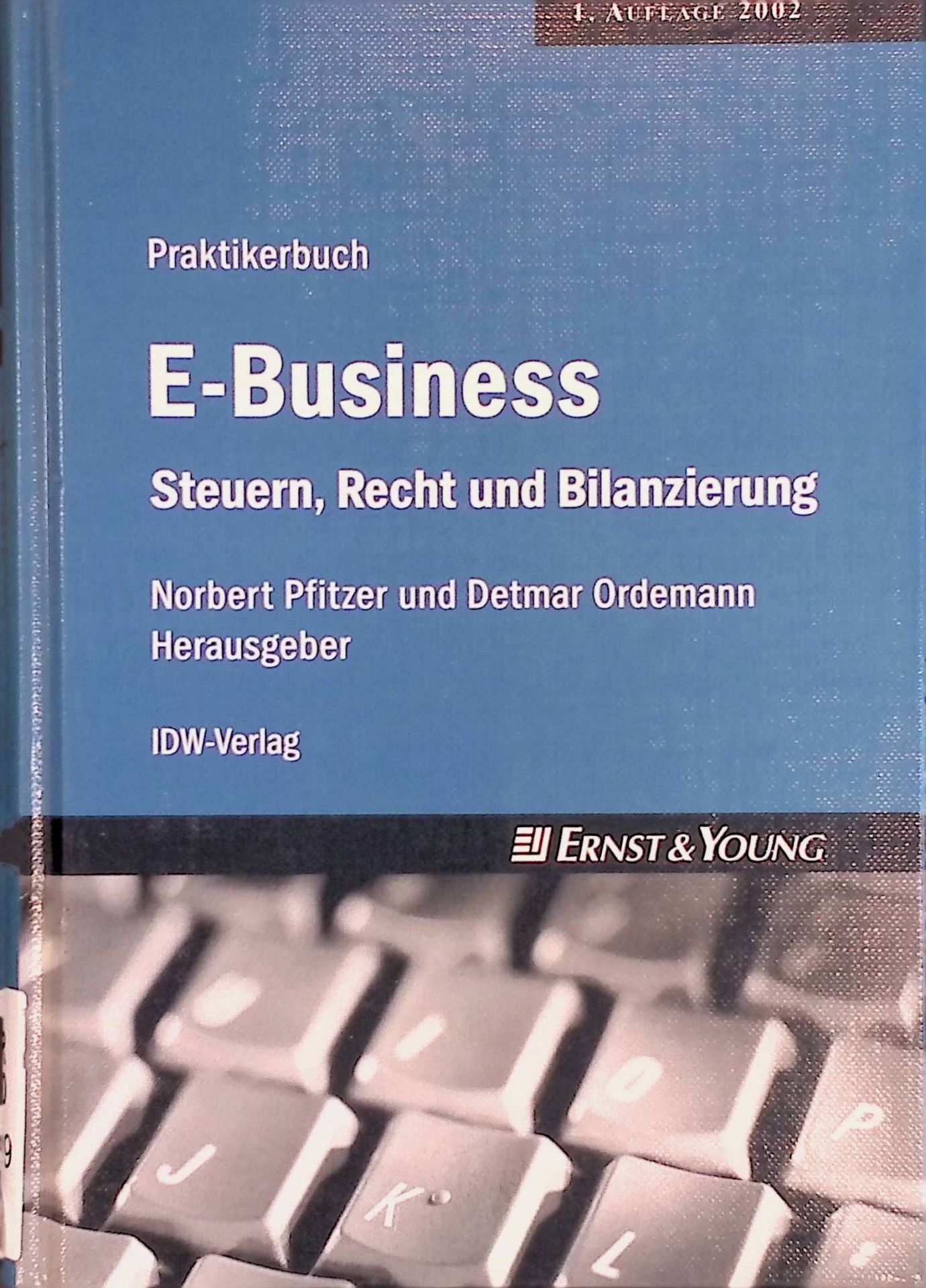 Praktikerbuch E-Business. Steuern, Recht und Bilanzierung