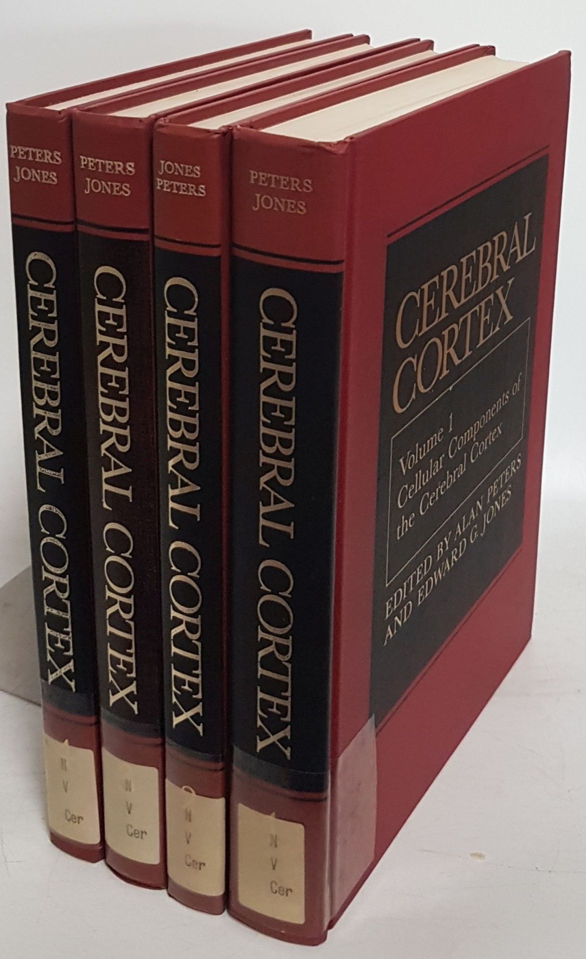 Cerebral Cortex (4 vols./ 4 Bände) - hier vorhanden: Vol.1: Cellular Components of the Cerebral Cortex/ Vol.2: Functional Properties of Cortical Cells/ Vol.3: Visual Cortex/ Vol.4: Association and Auditory Cortices