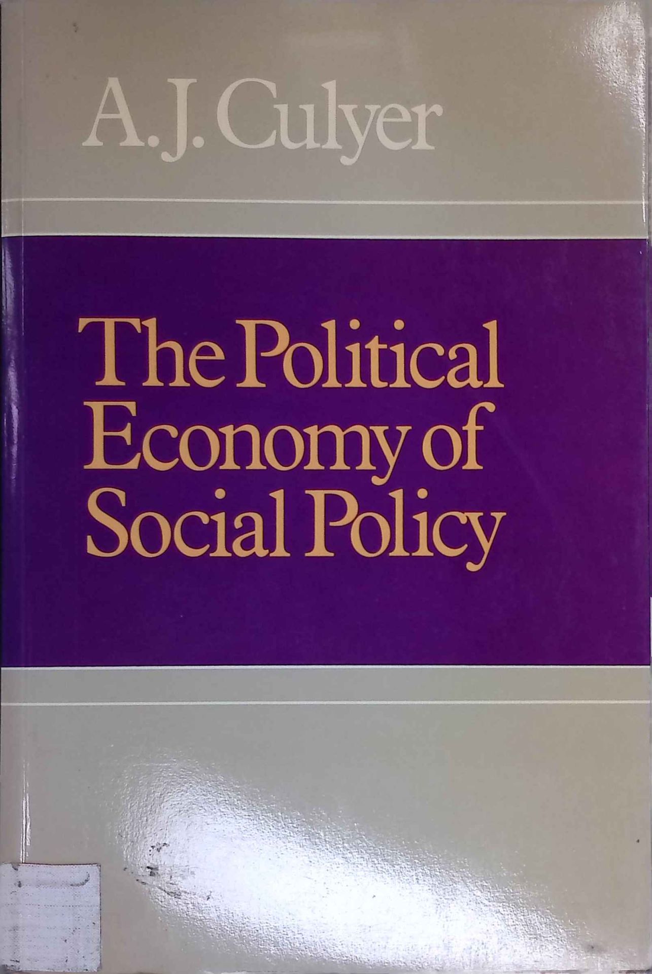 The Political Economy of Social Policy