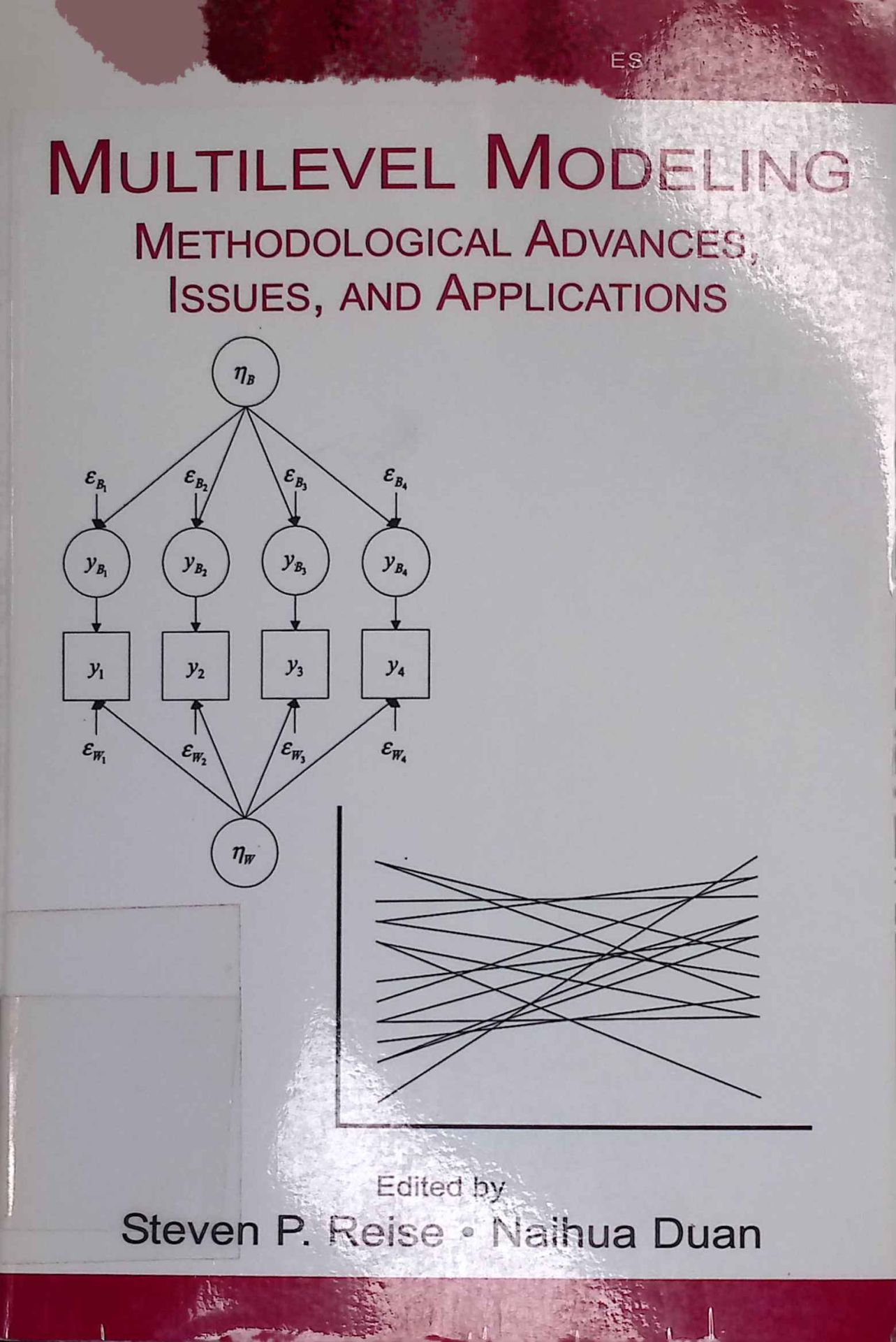 Multilevel Modeling: Methodological Advances, Issues, and Applications