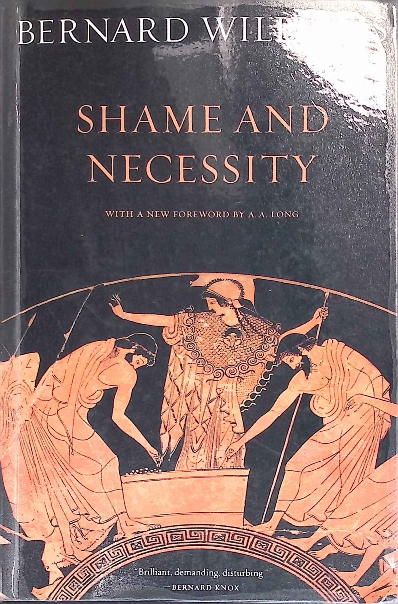 Shame and Necessity
