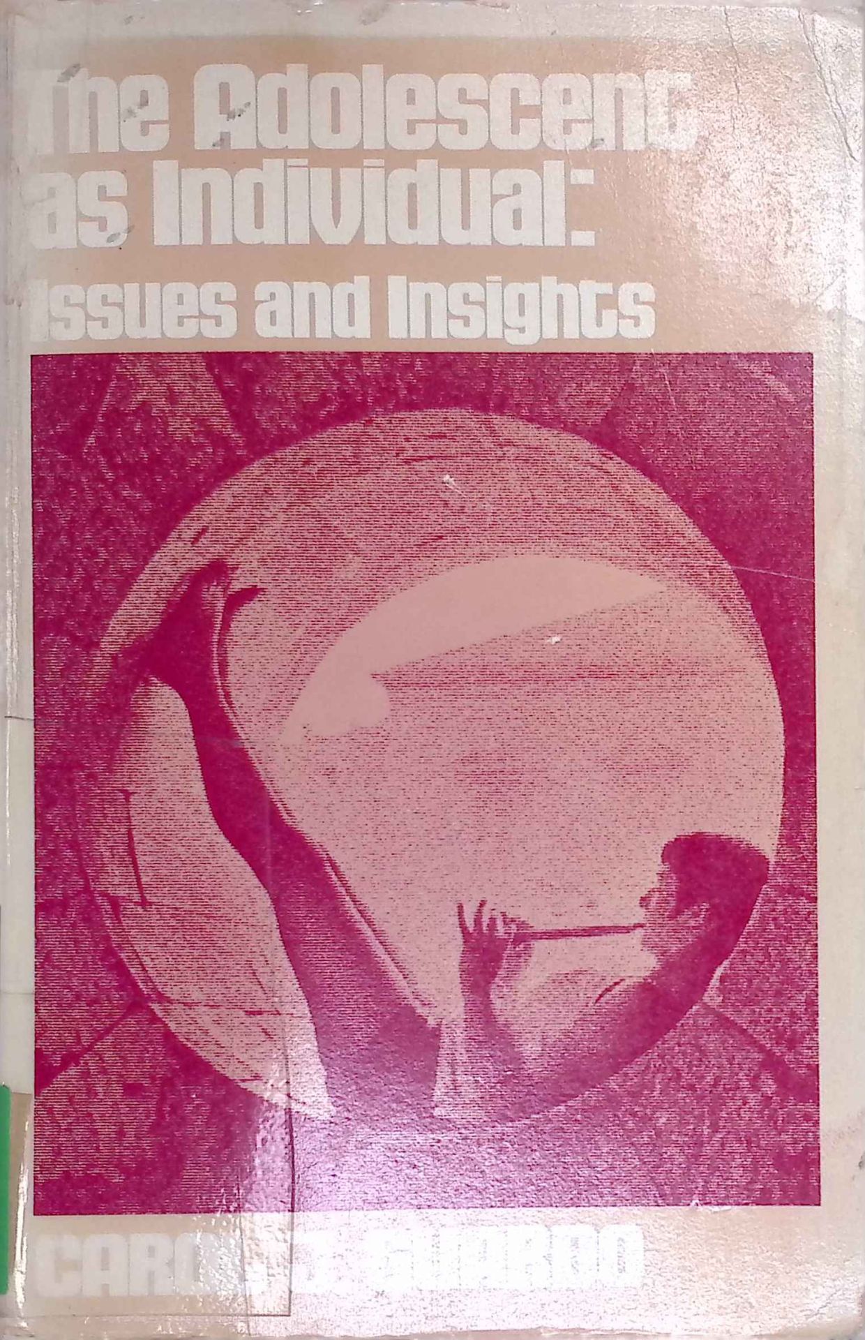 The Adolescent as Individual: Issues and Insights