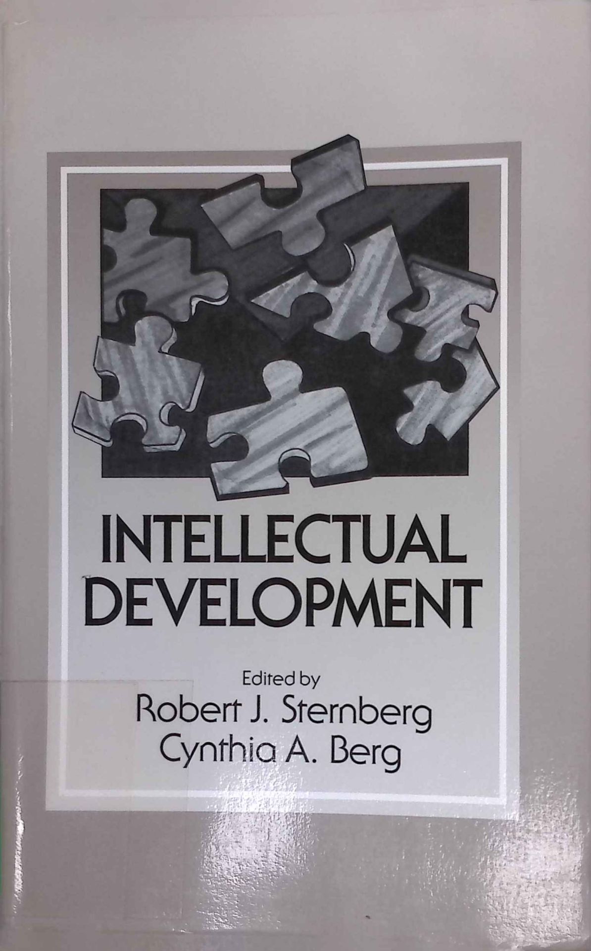 Intellectual Development