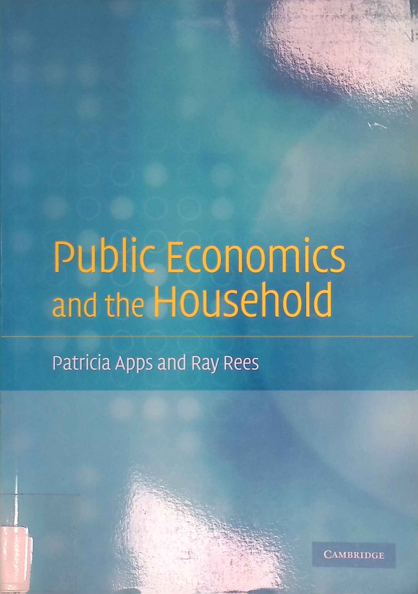 Public Economics and the Household