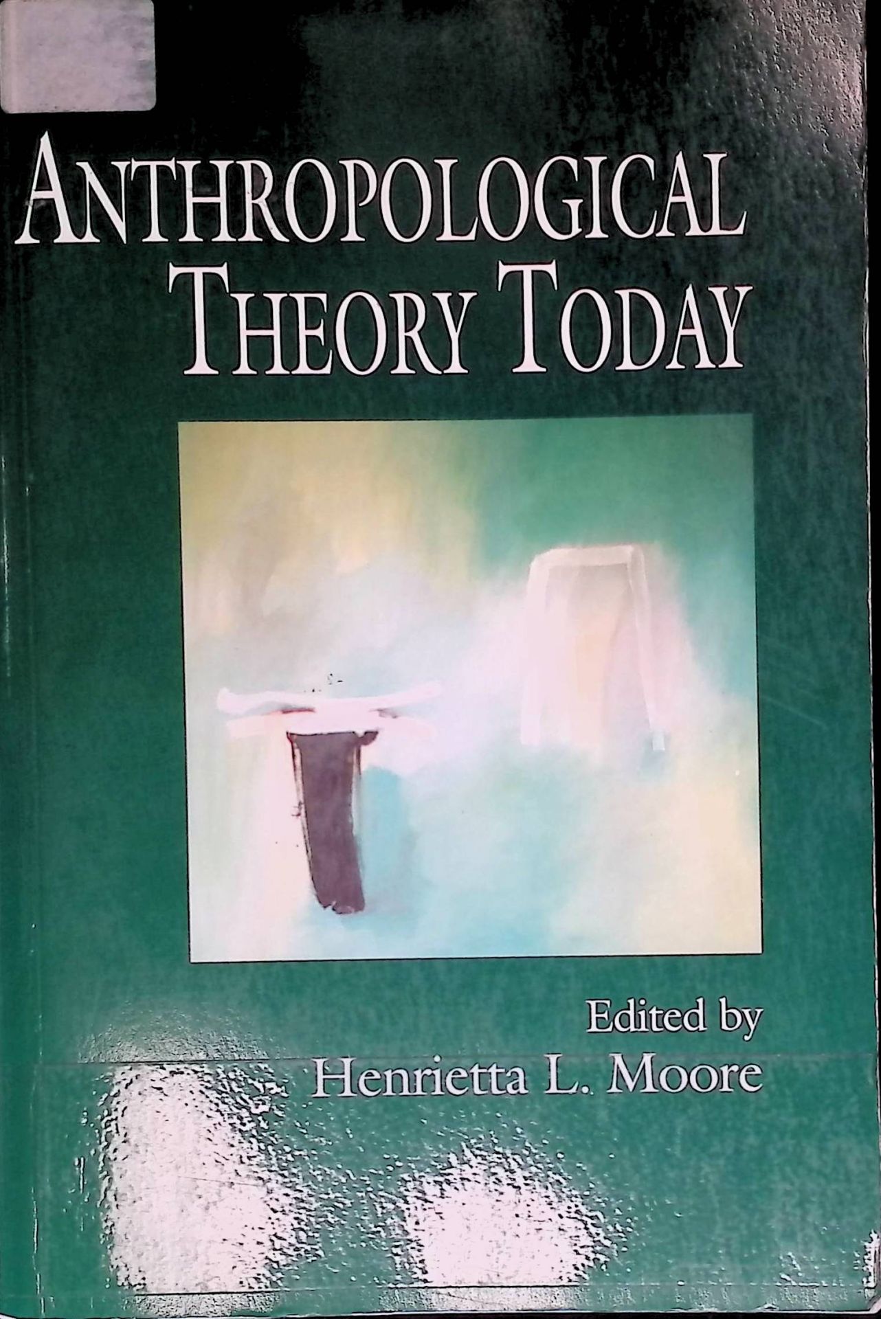 Anthropological Theory Today