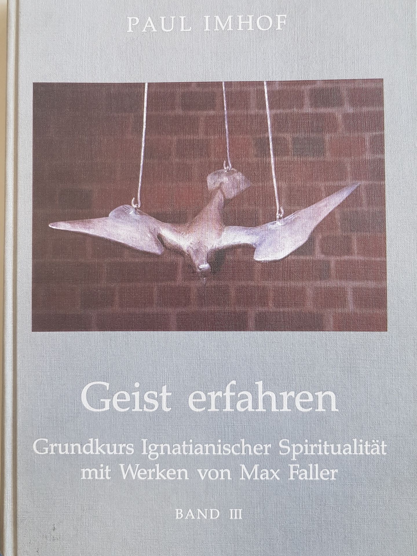 Grundkurs ignatianischer Spiritualität mit Werken von Max Faller: BAND III: Geist erfahren