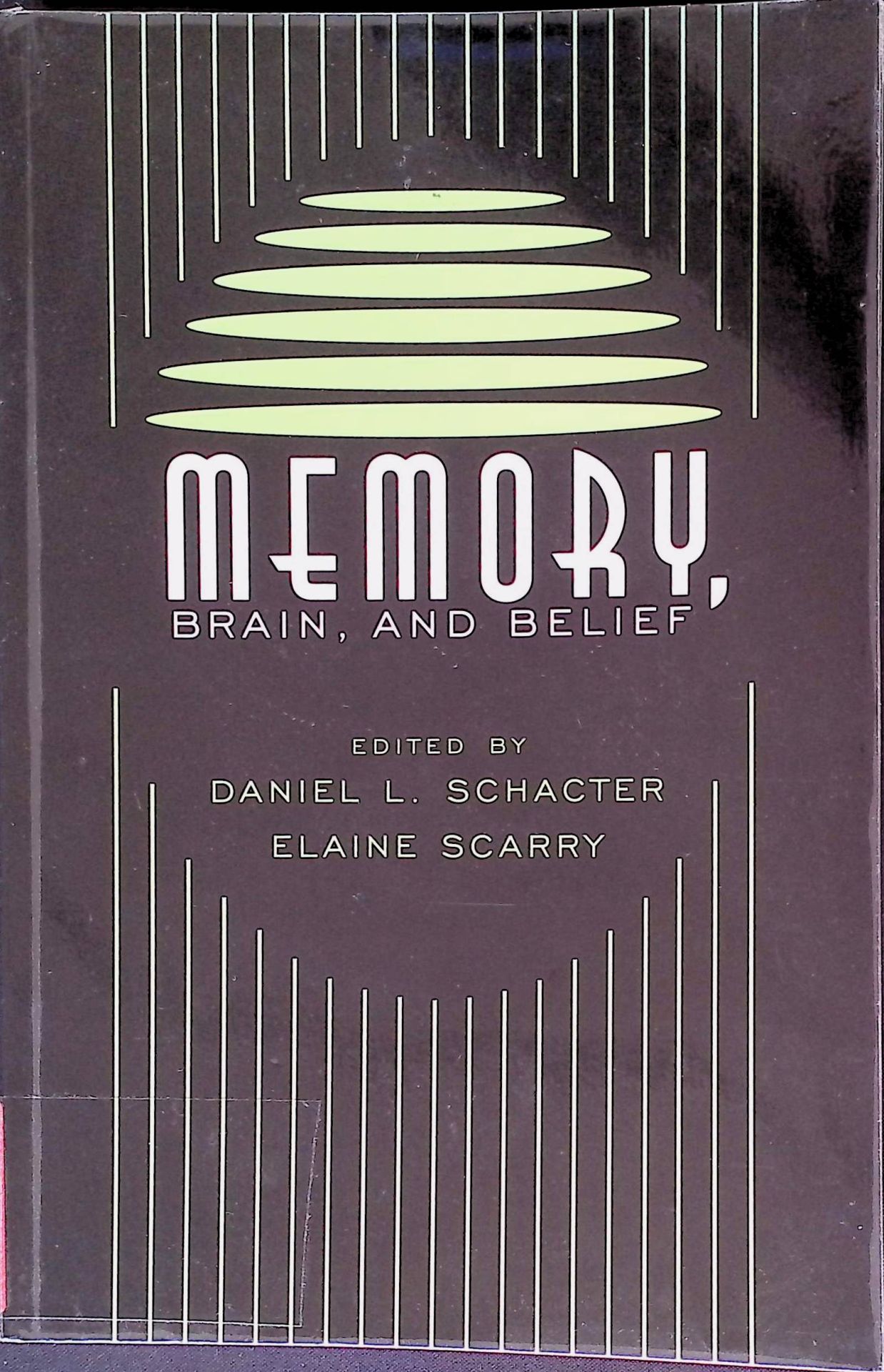Memory, Brain, and Belief
