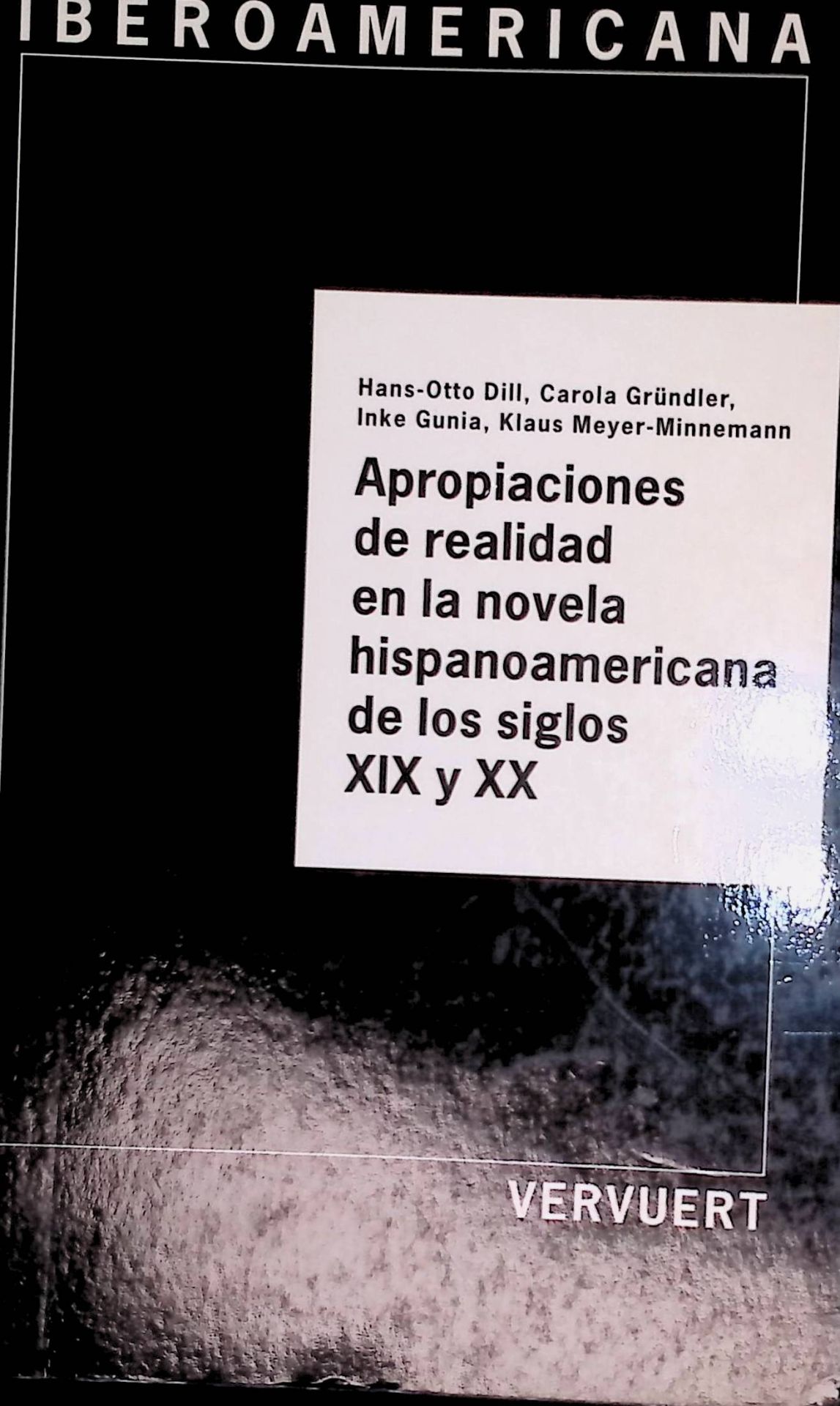 Apropiaciones de realidad en la novela hispanoamericana de los siglos XIX y XX
