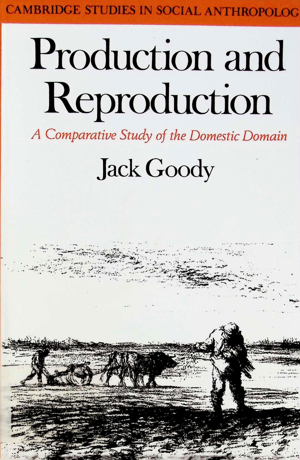 Production and Reproduction: A Comparative Study of the Domestic Domain