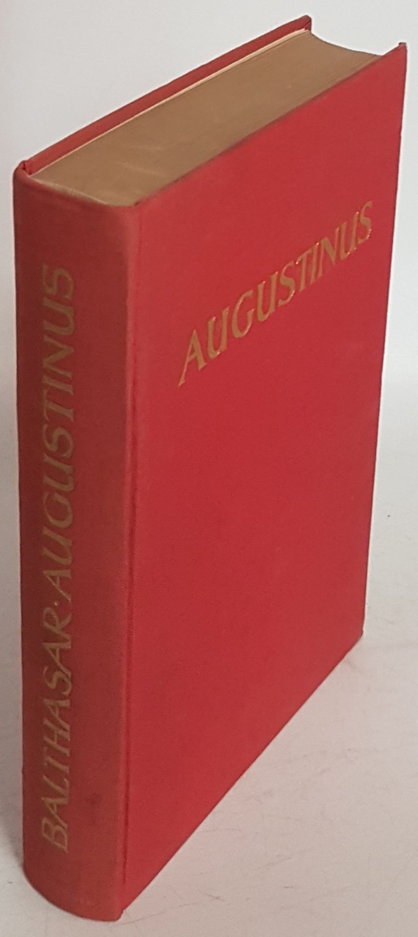 Augustinus: Das Antlitz der Kirche
