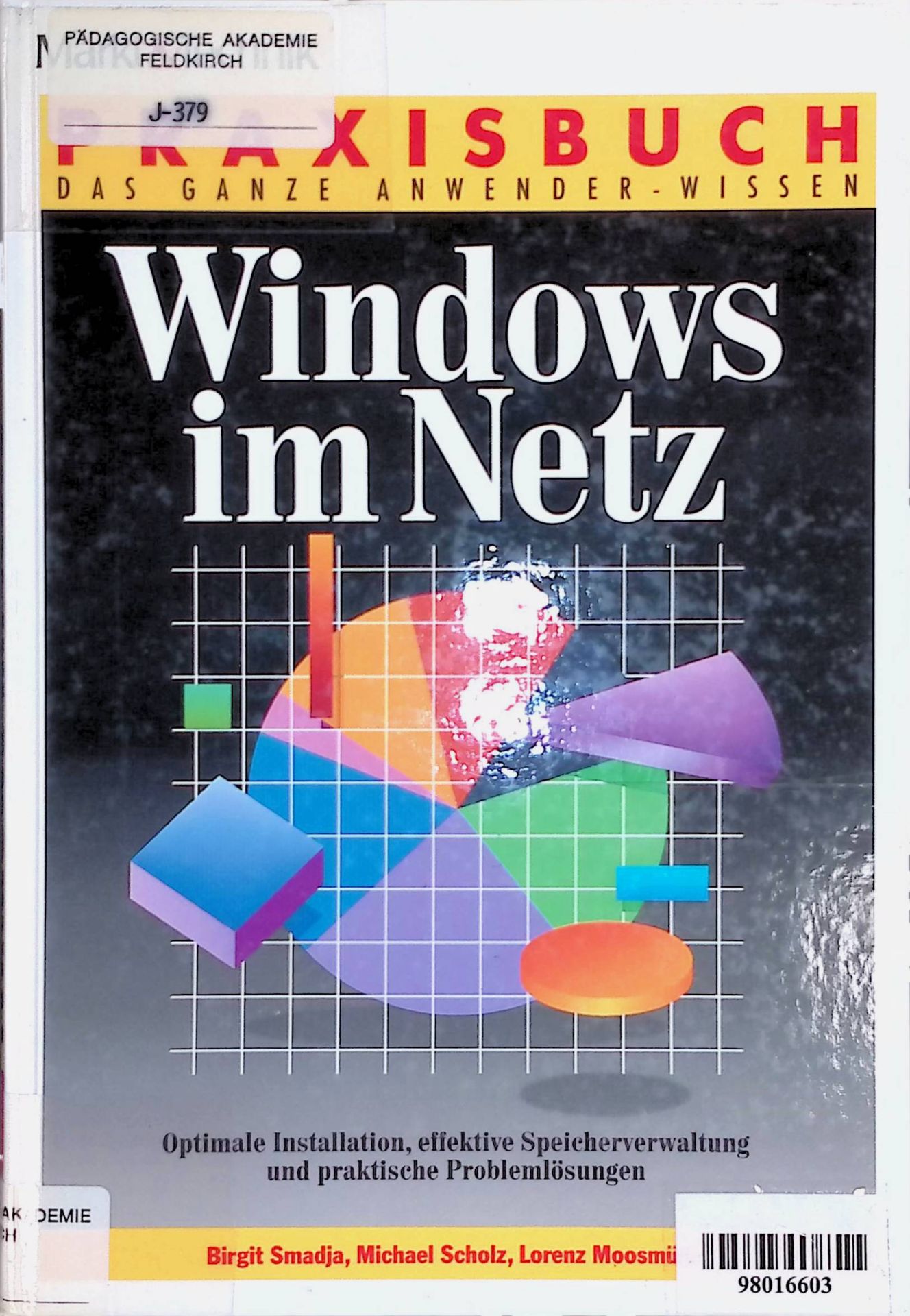 Windows im Netz : optimale Installation, effektive Speicherverwaltung und praktische Problemlösungen