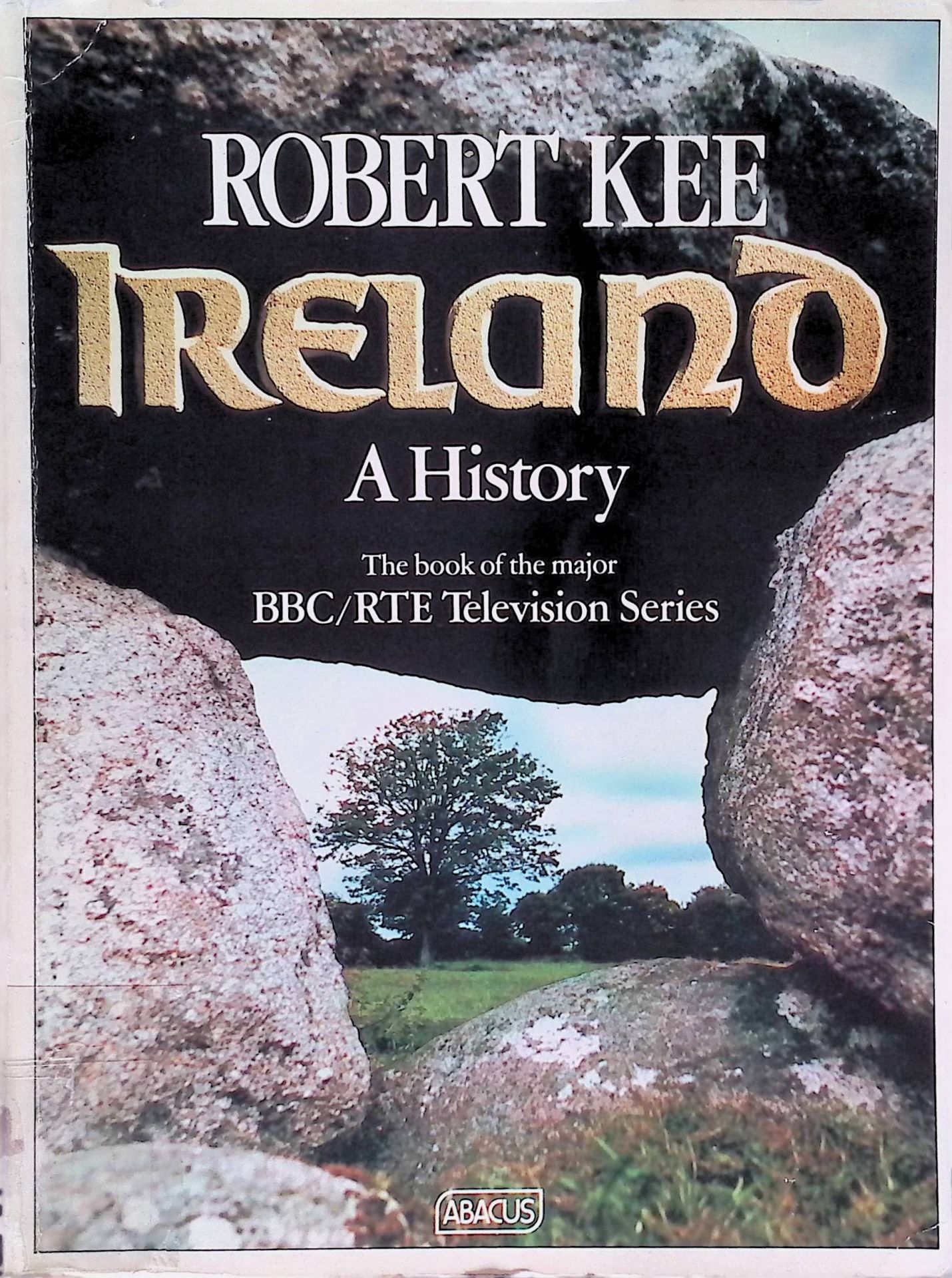Ireland a History