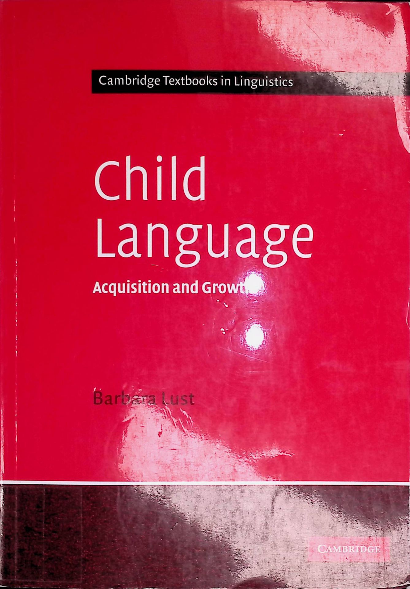 Child Language: Acquisition And Growth