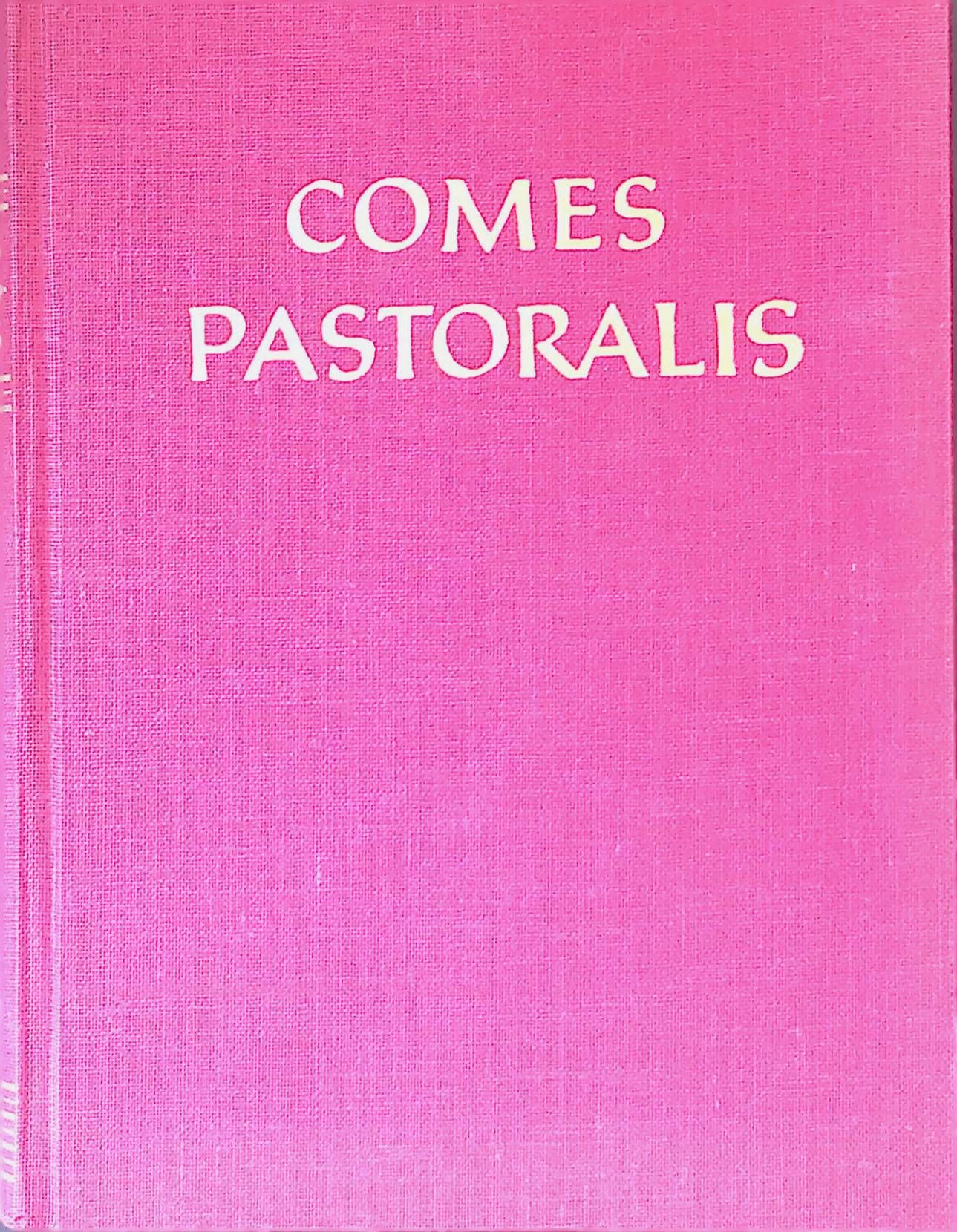 Comes pastoralis confessarii praelertim religioli. Für die seelsorgliche Praxis aus Pastoral und Kirchenrecht