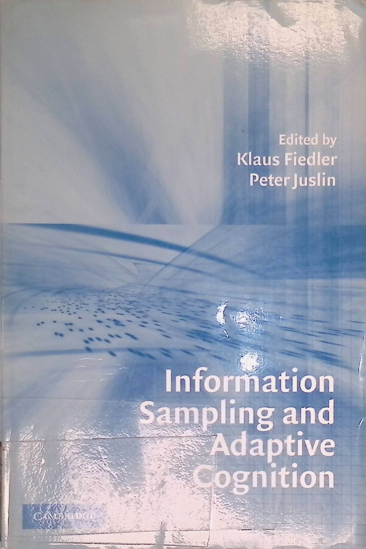 Information Sampling and Adaptive Cognition