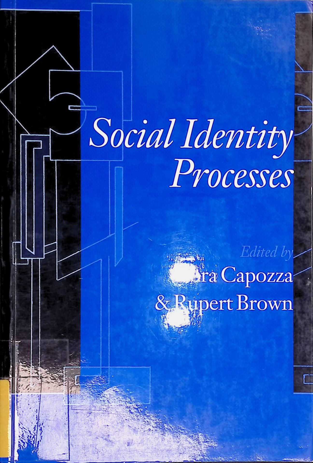 Social Identity Processes: Trends in Theory and Research