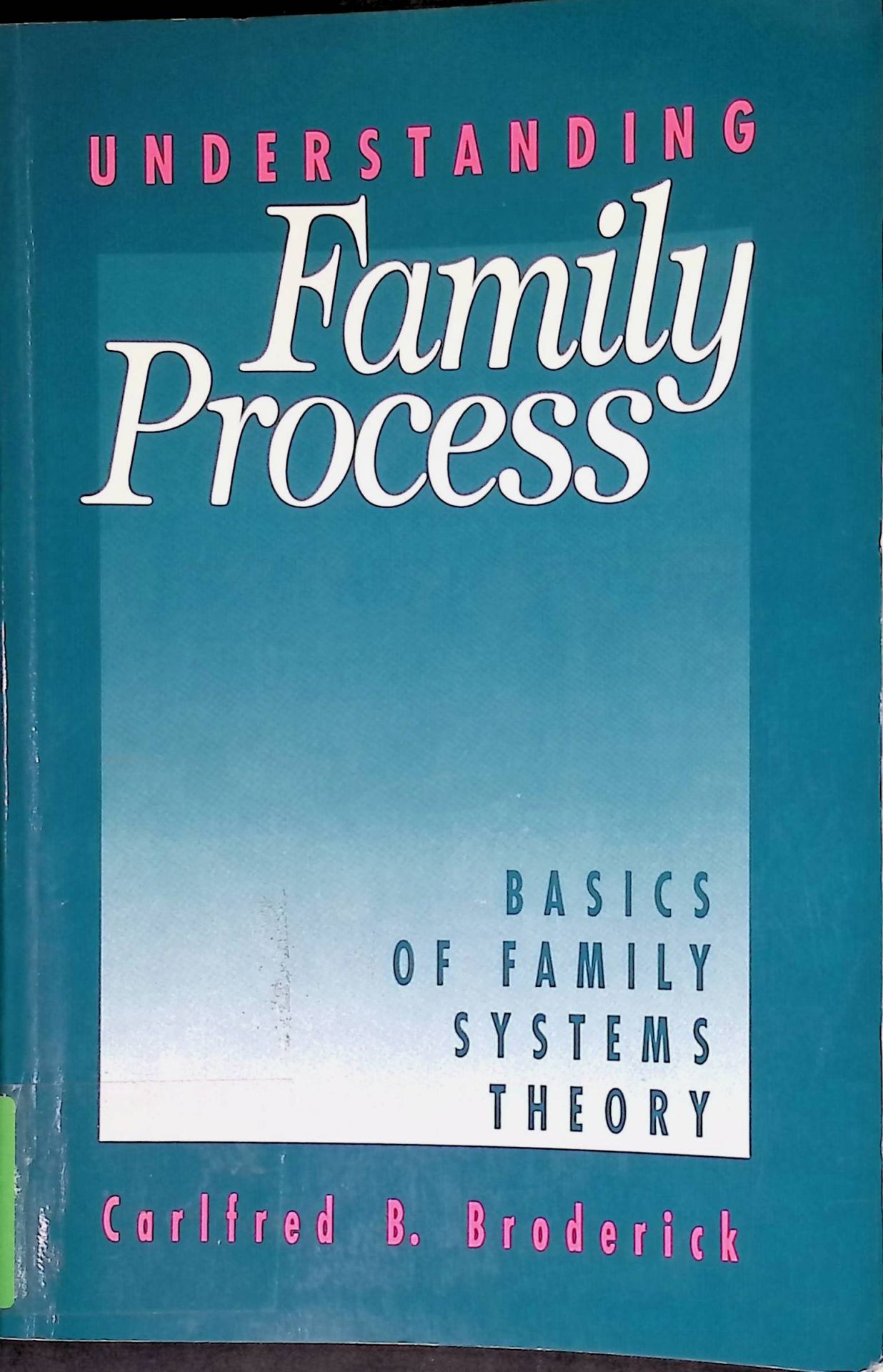 Understanding Family Process: Basics of Family Systems Theory