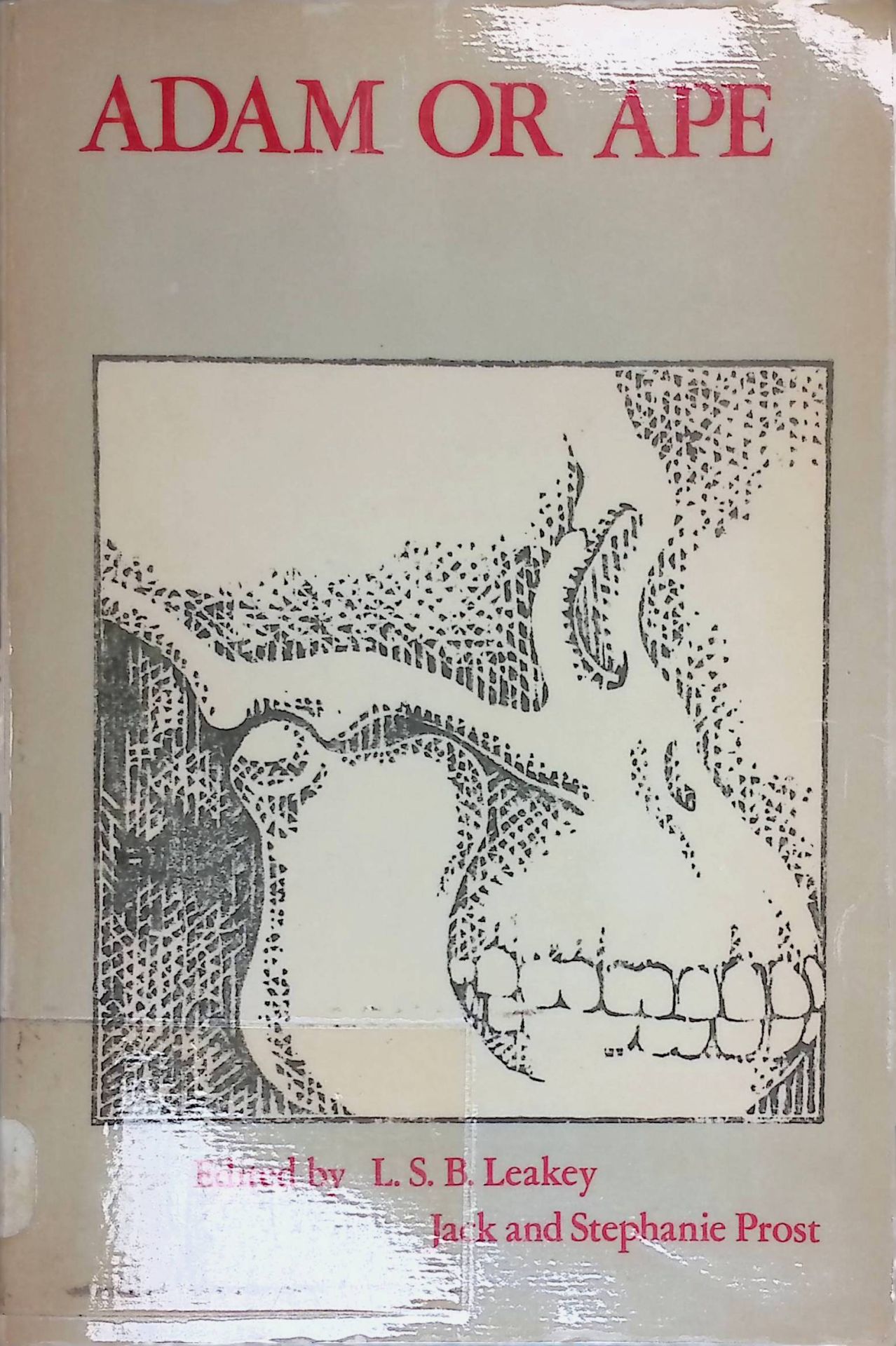 Adam or Ape: A Sourcebook of Discoveries about Early Man