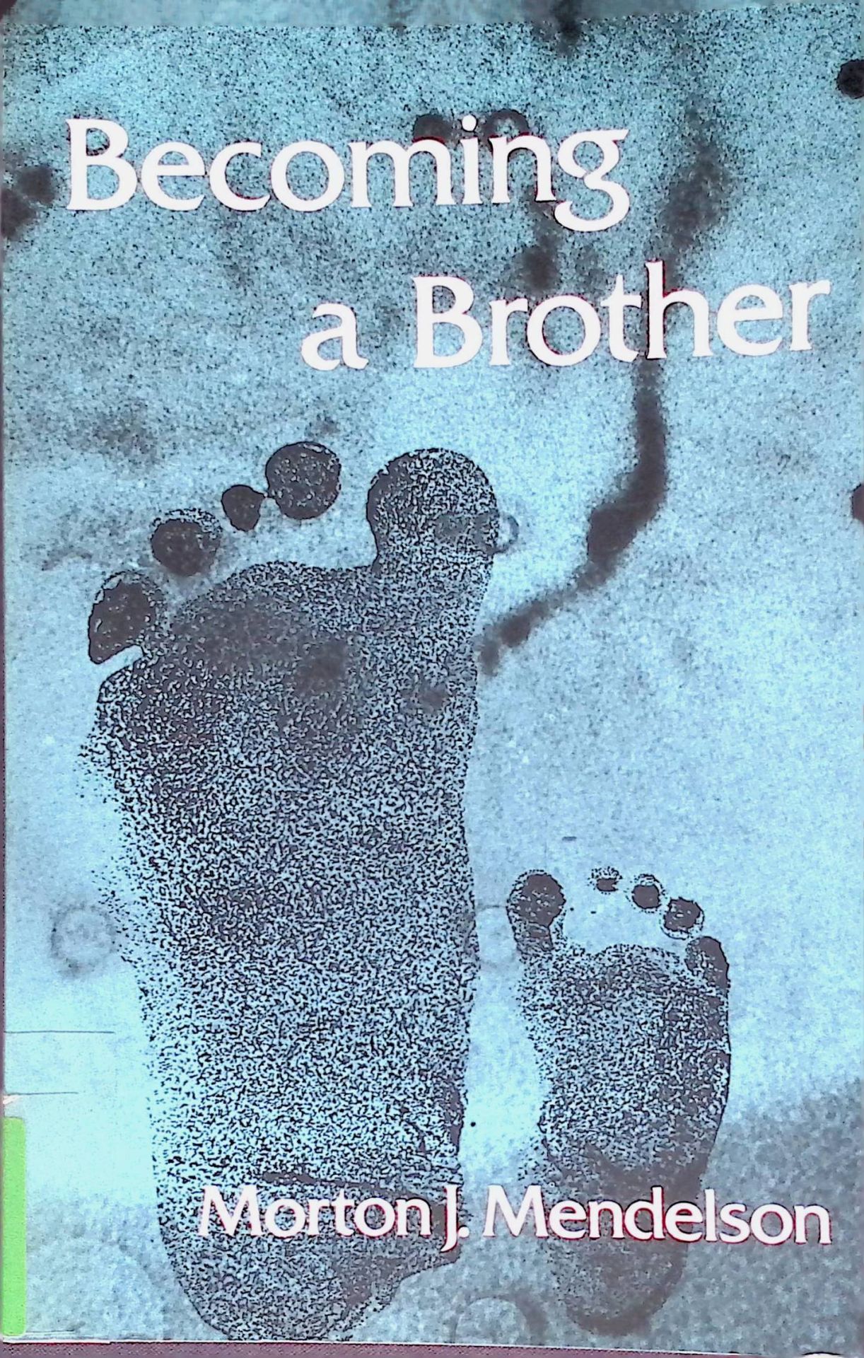 Becoming a Brother: A Child Learns about Life, Family, and Self