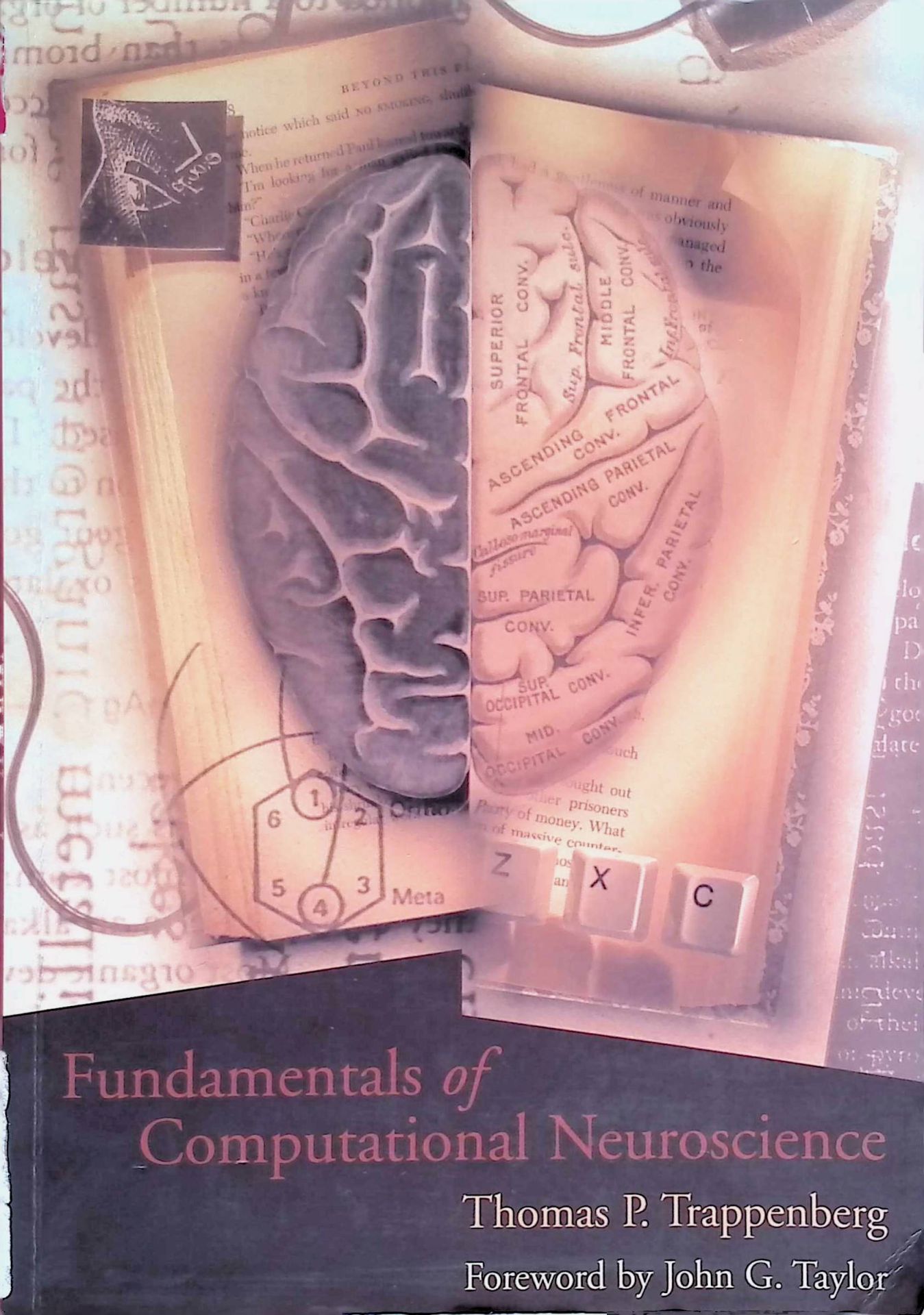 Fundamentals of Computational Neuroscience