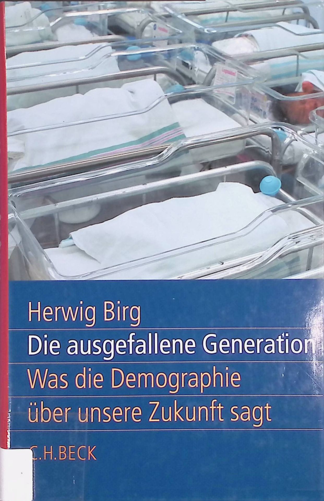 Die ausgefallene Generation : was die Demographie über unsere Zukunft sagt