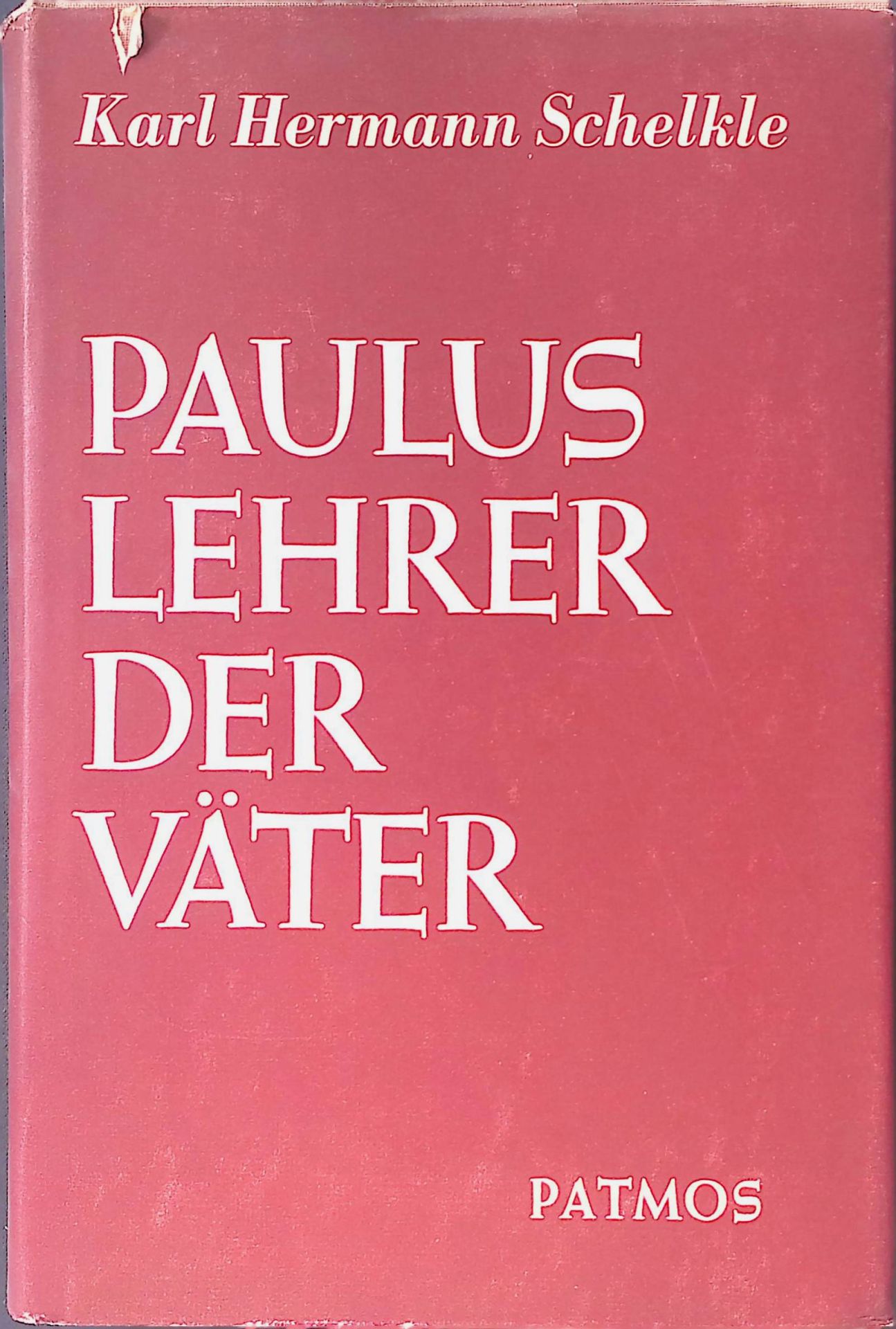 Paulus: Lehrer der Väter - die altkirchliche Auslegung von Römer 1-11