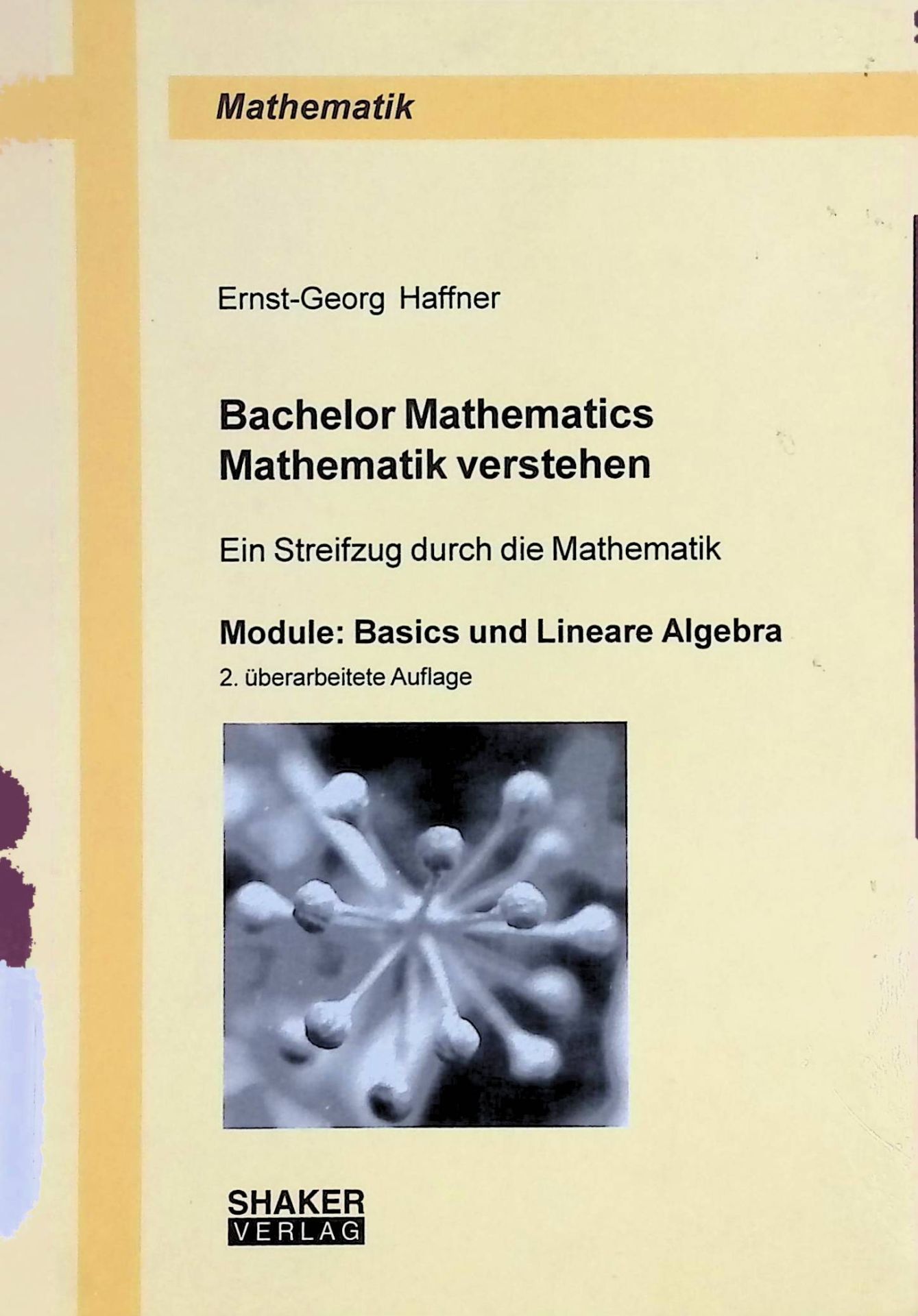 Bachelor mathematics - Mathematik verstehen : ein Streifzug durch die Mathematik - Module: basics und lineare Algebra