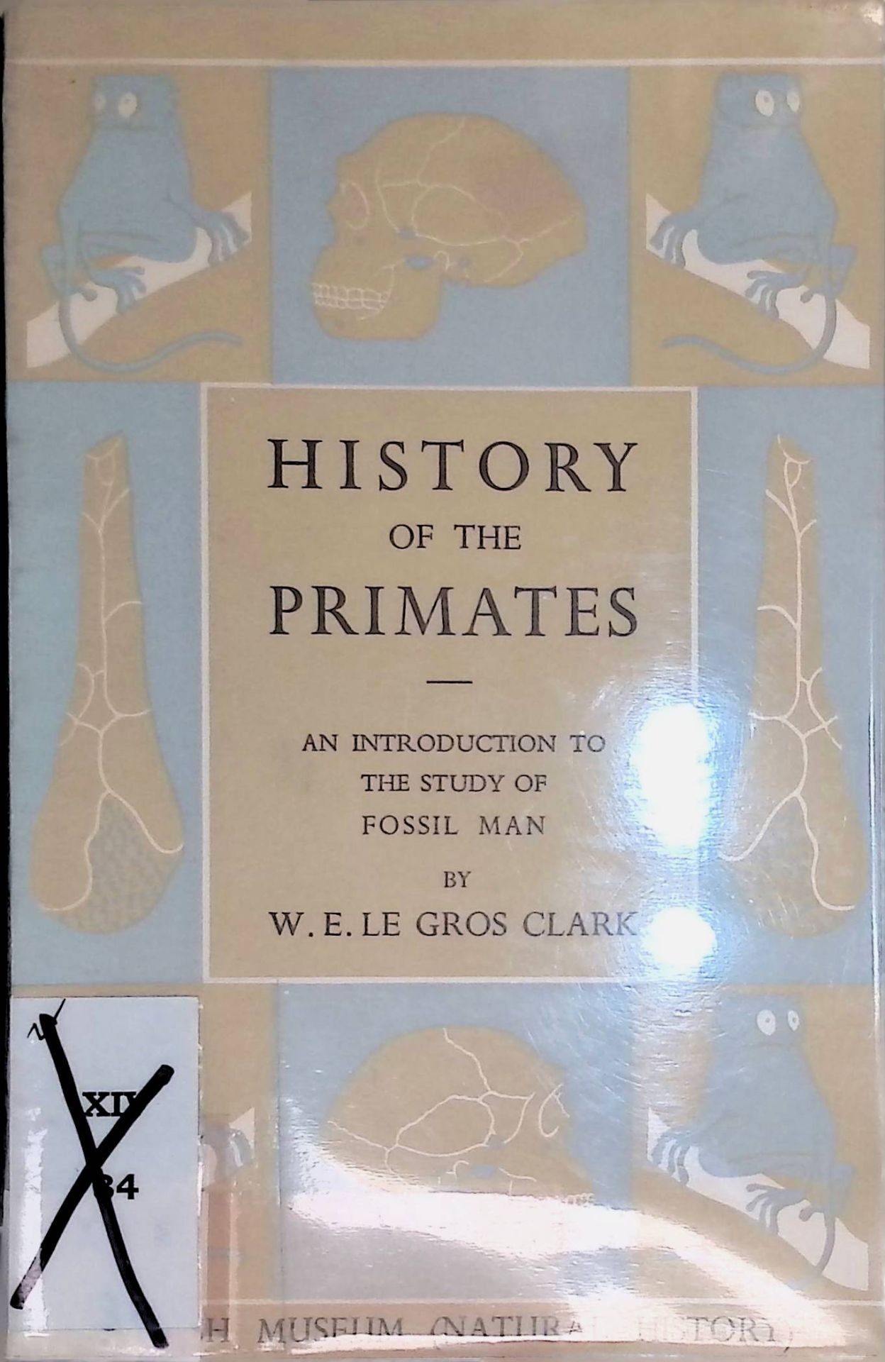History of the Primates: An Introduction to the Study of Fossil Man