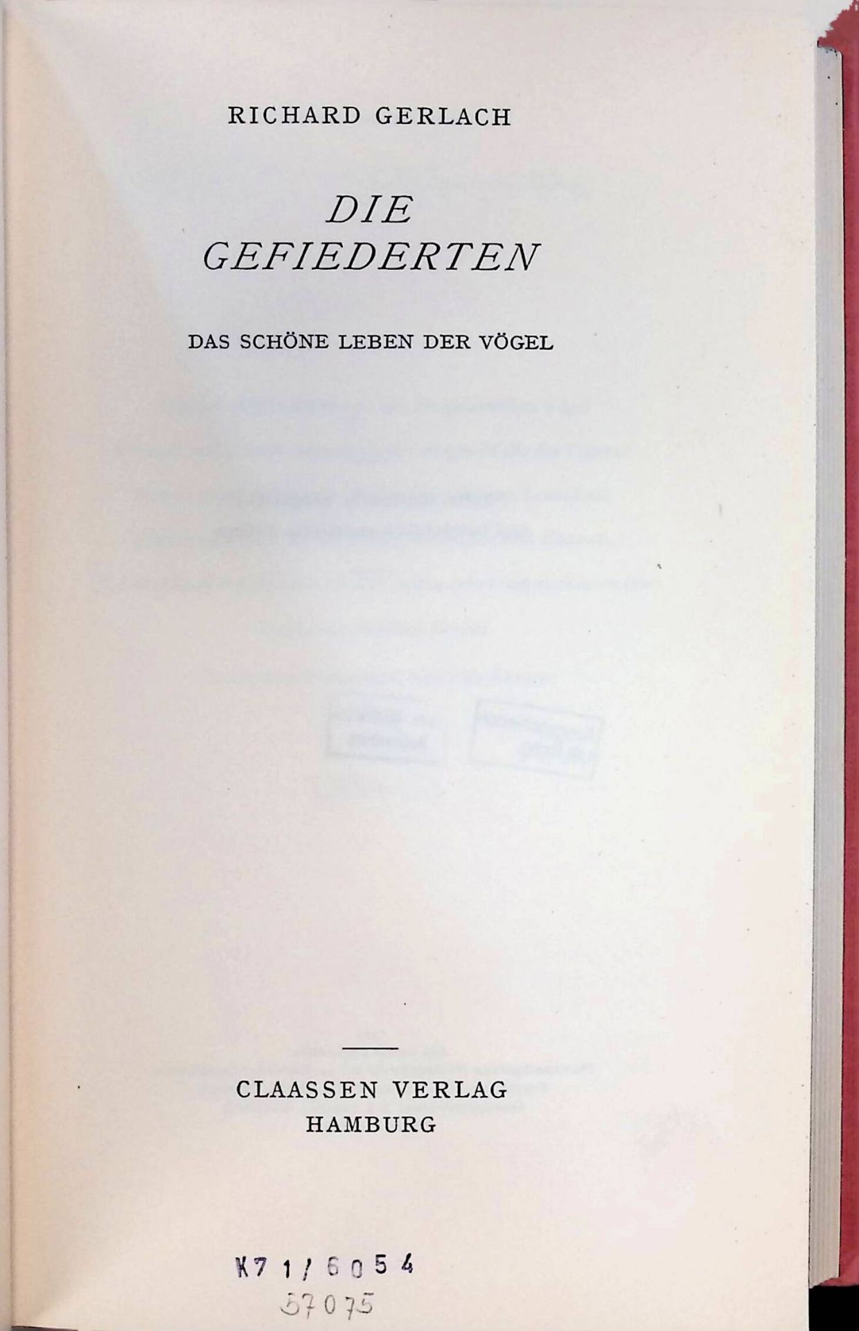 Die Gefiederten : Das schöne Leben der Vögel