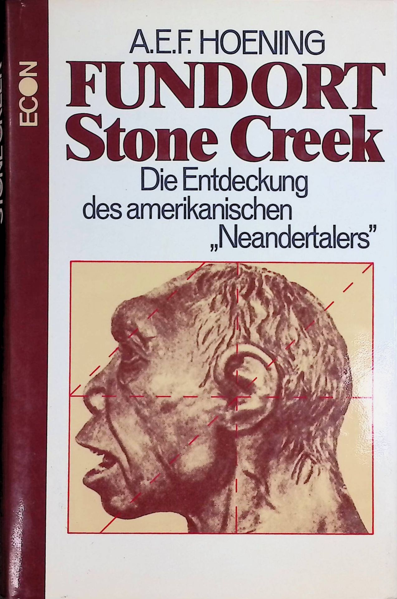 Fundort Stone Creek : die Entdeckung des amerikanischen Neandertalers