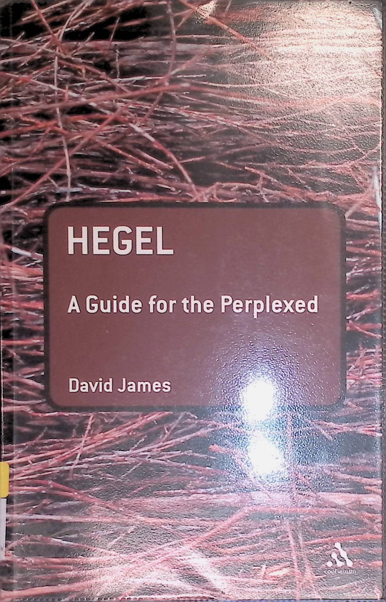 Hegel: A Guide for the Perplexed