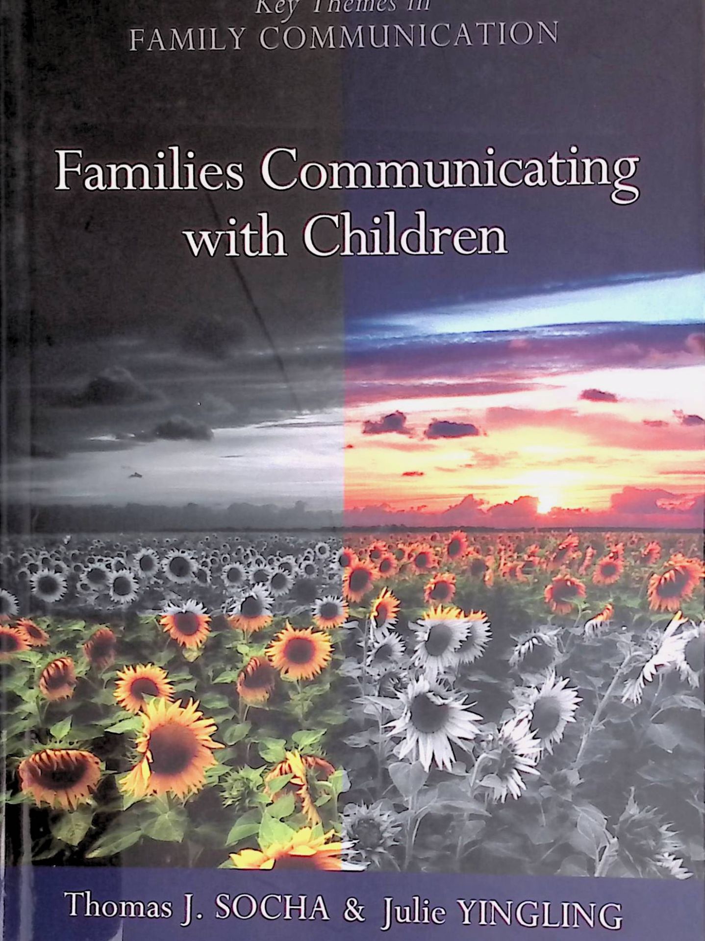 Families Communicating With Children: Building Positive Developmental Foundations